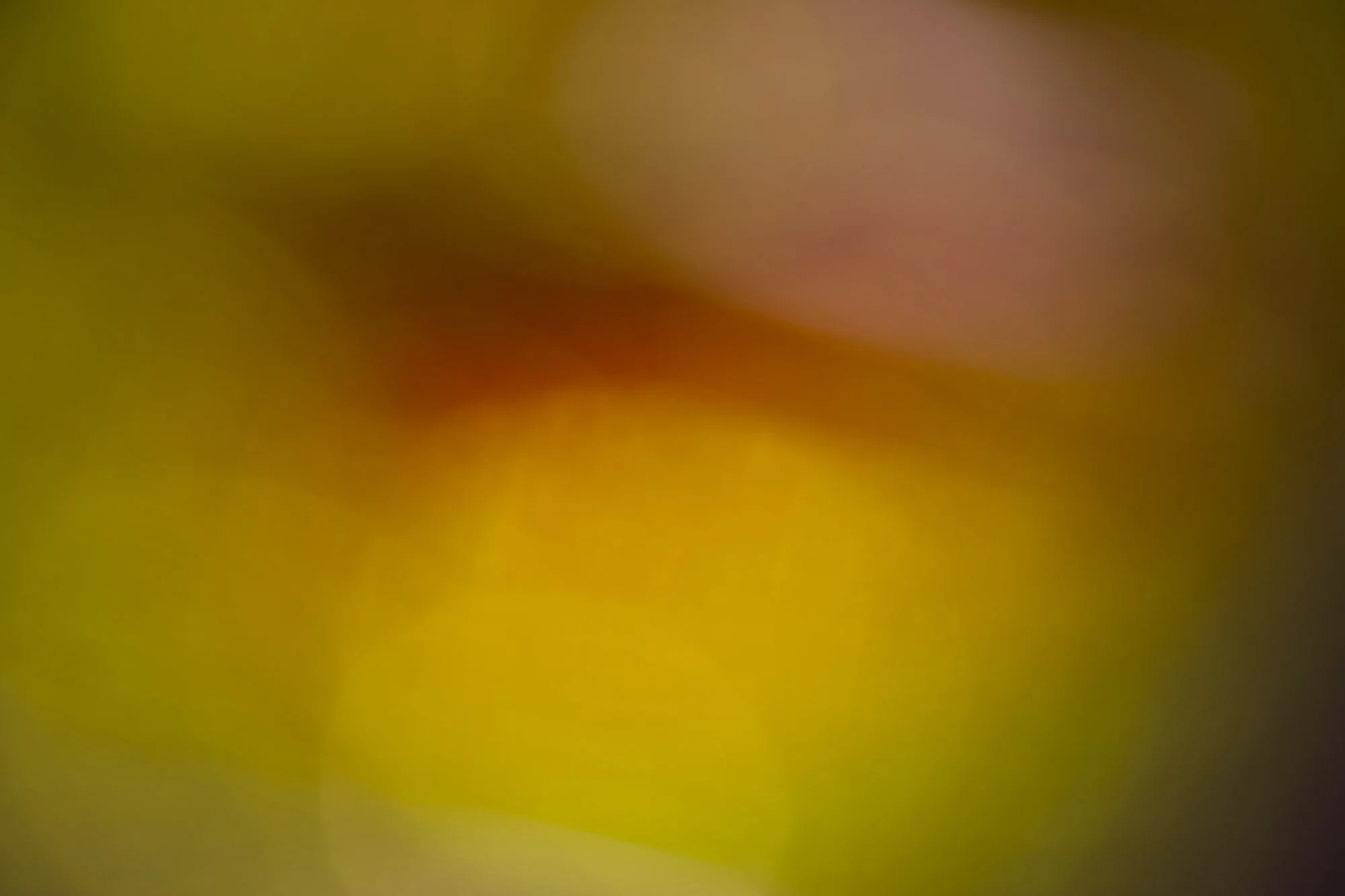 Blurred close-up of yellow and brown objects, unclear in detail.
