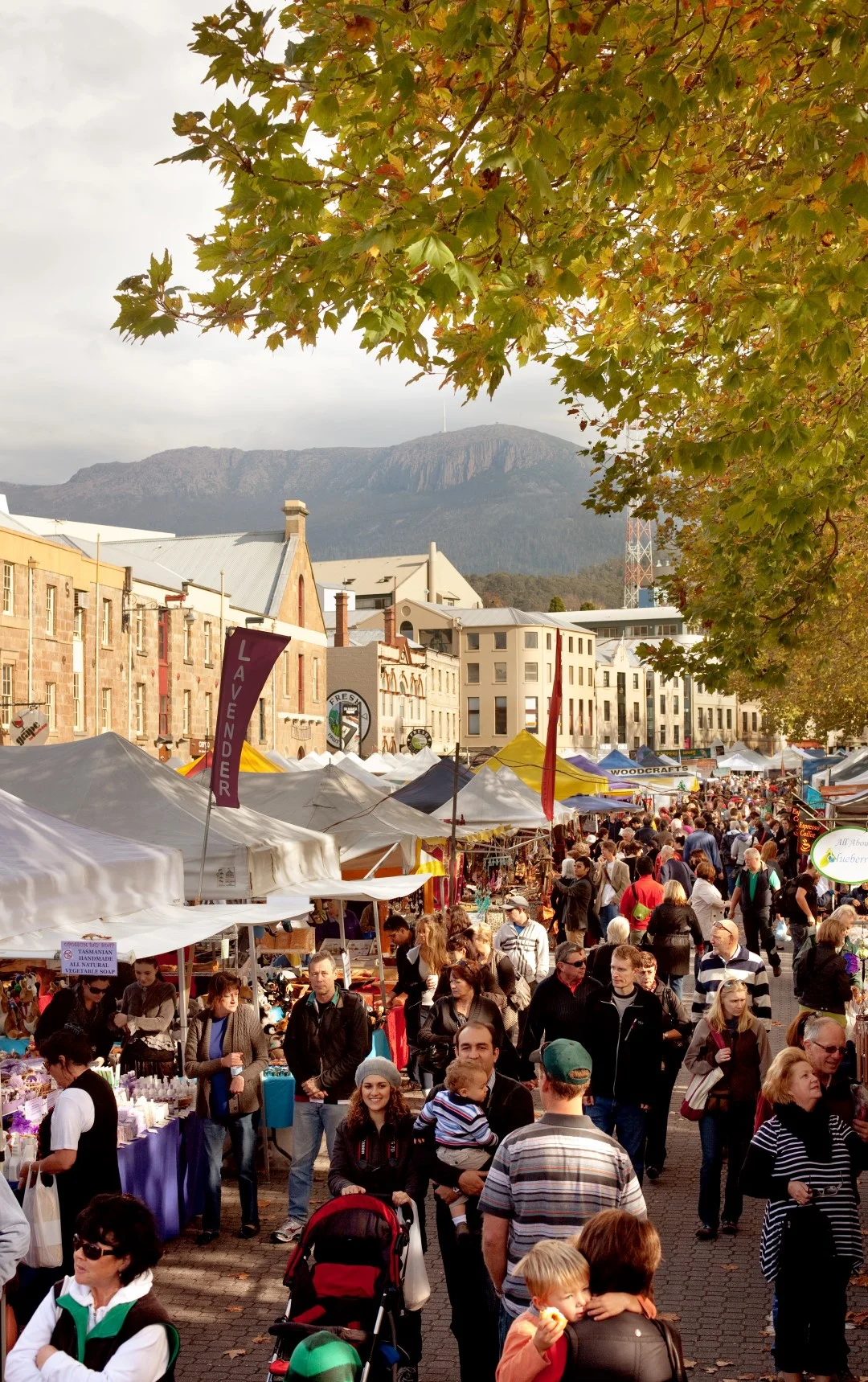 market-and-mountain-high-res-large.jpg