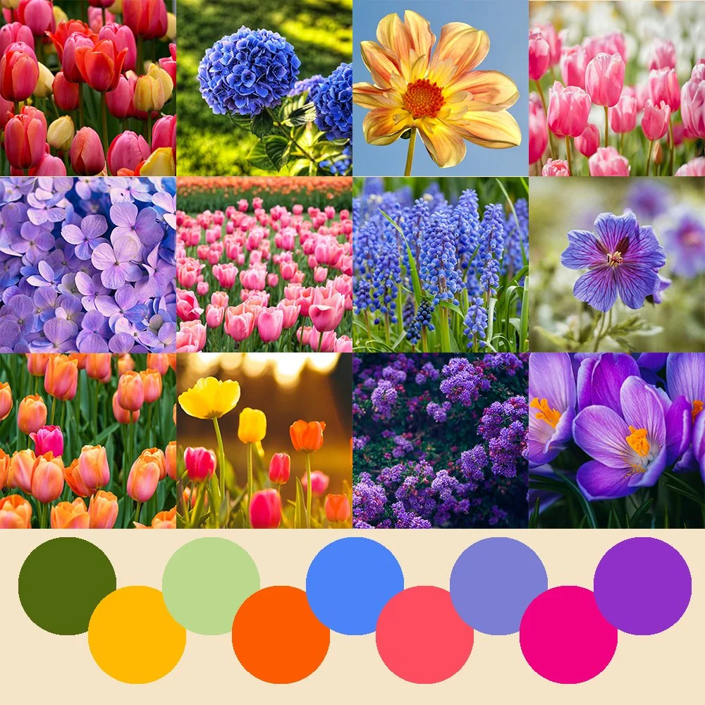 PRE-ORDER: Spring Mystery Sock Yarn - Ships week beginning 13th April