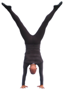 Y.png