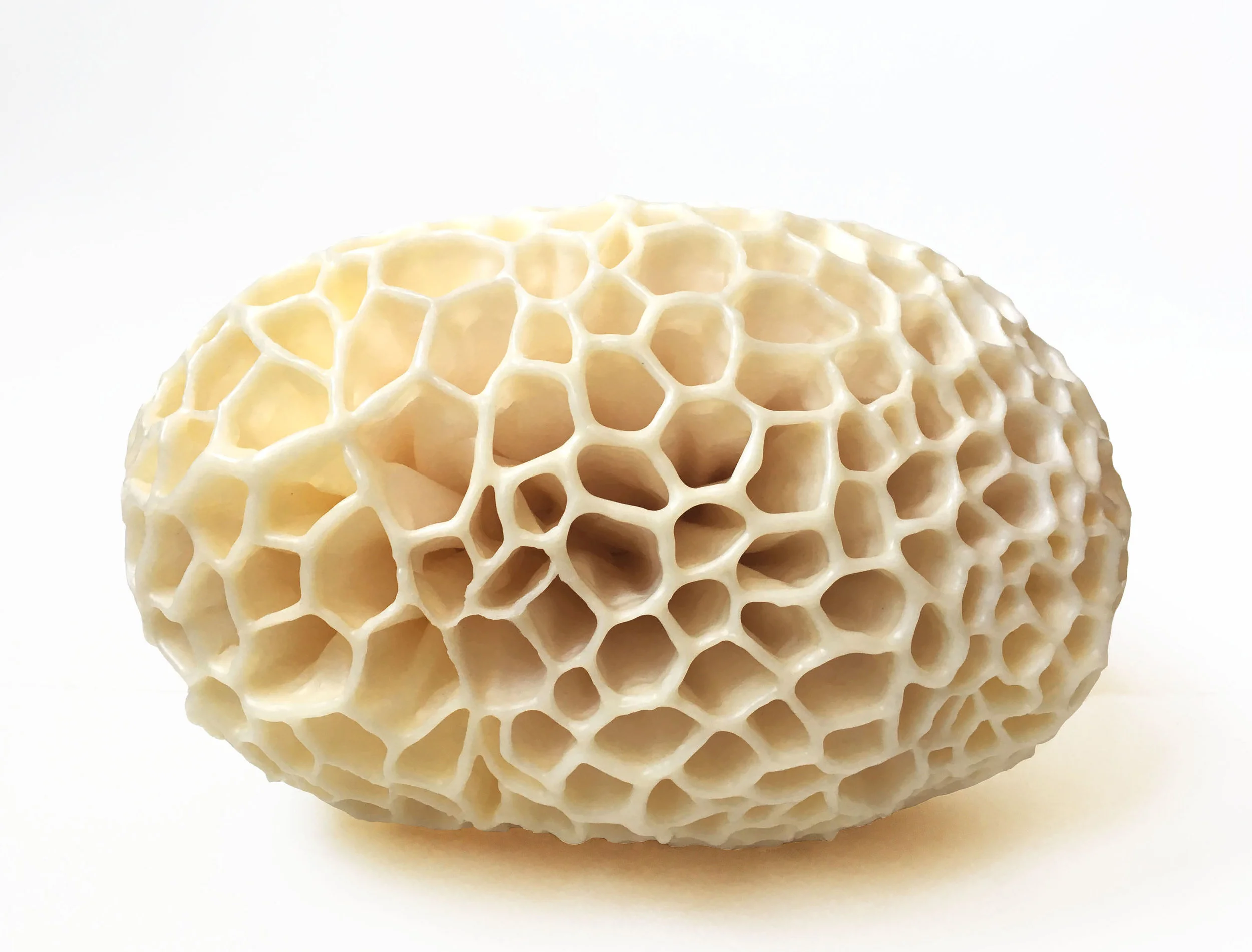Cellular Form