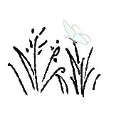 grass-fence-b&w-butterfly.gif