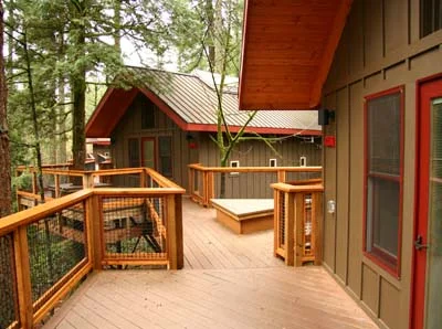 Treetops_3-1.jpg