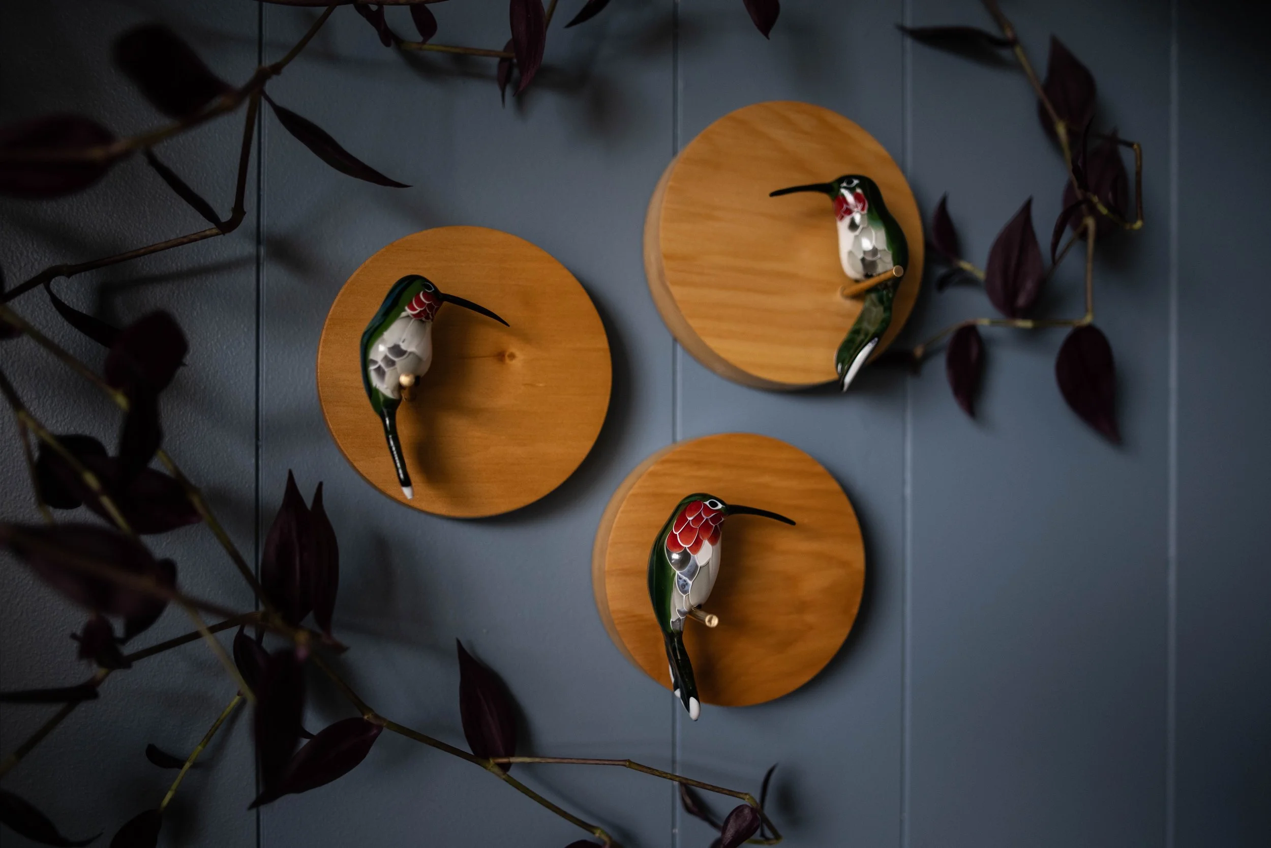 Ruby Throated Hummingbird