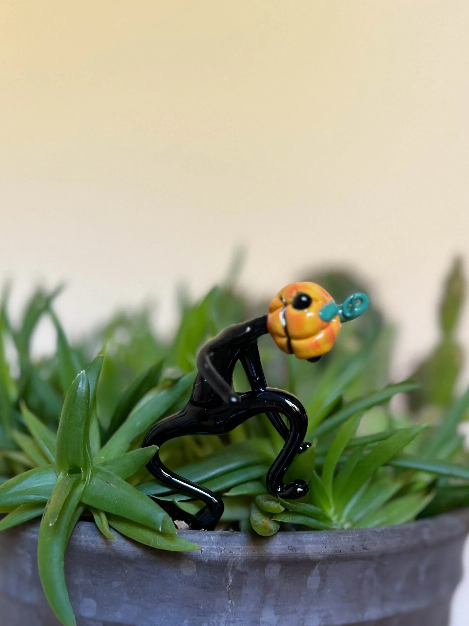 09051BCC-A374-4CFE-B026-2AFF958B4737.jpeg