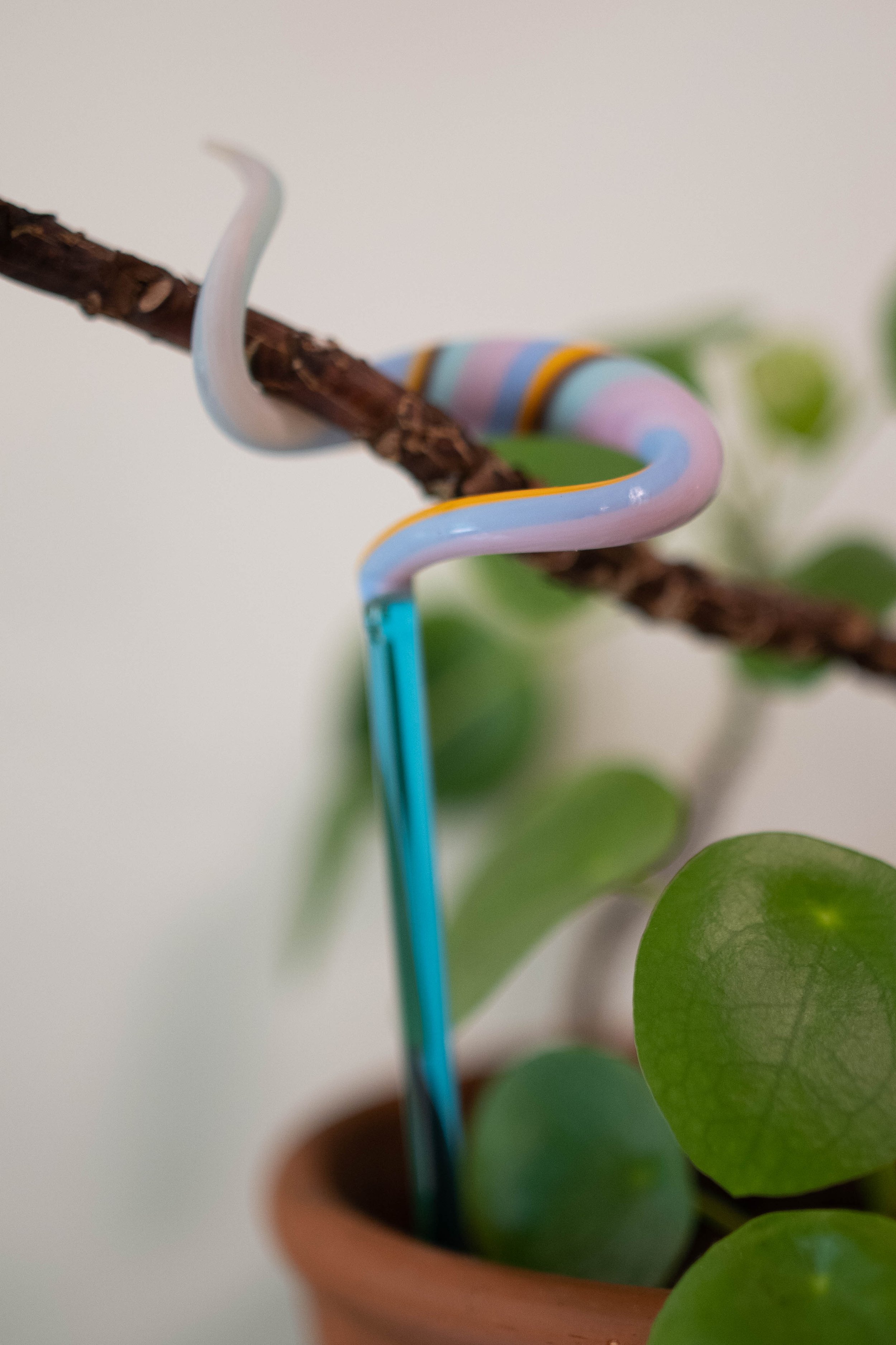 plantstakes_May_2025_103_14.jpg