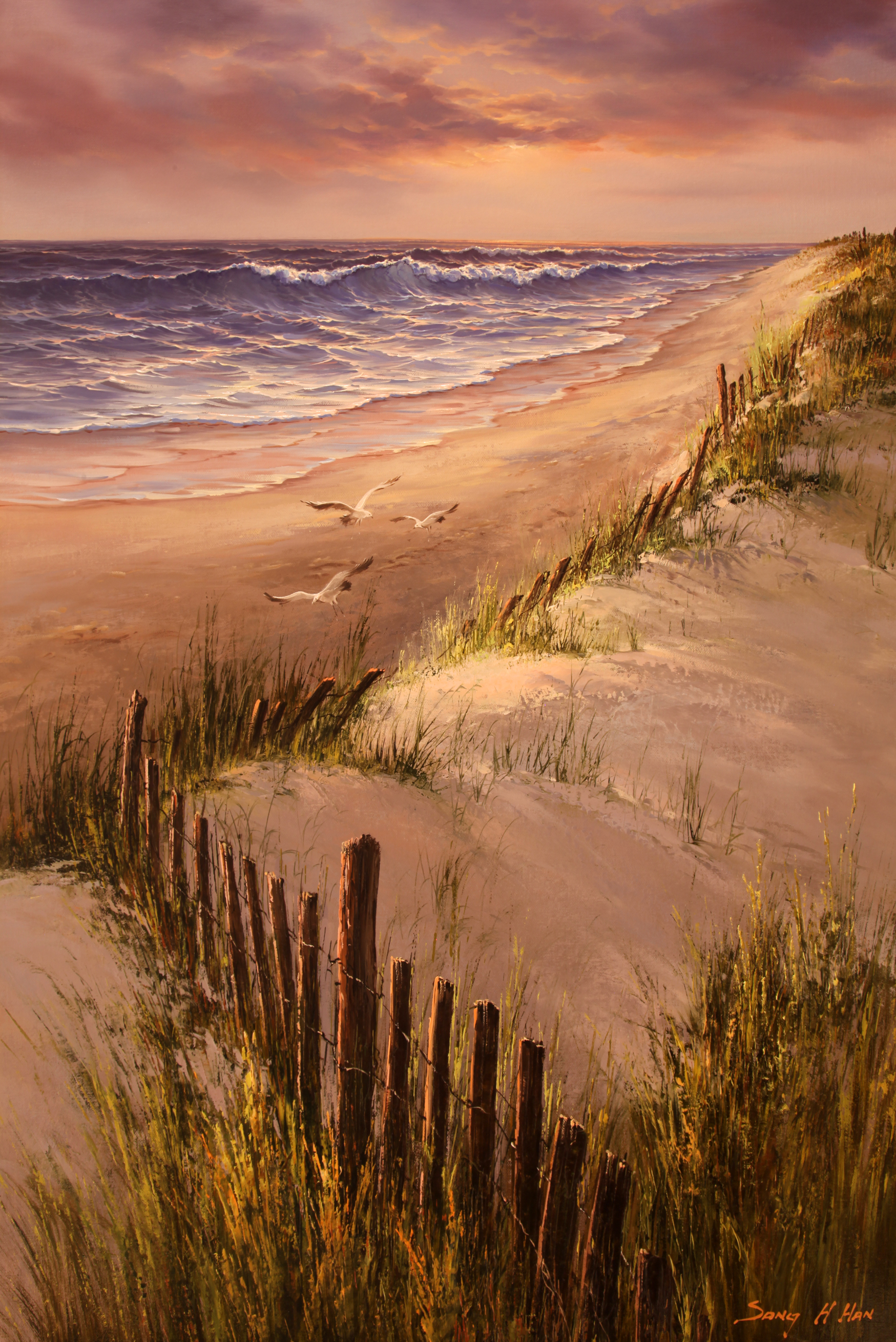 Forgotten Shores III