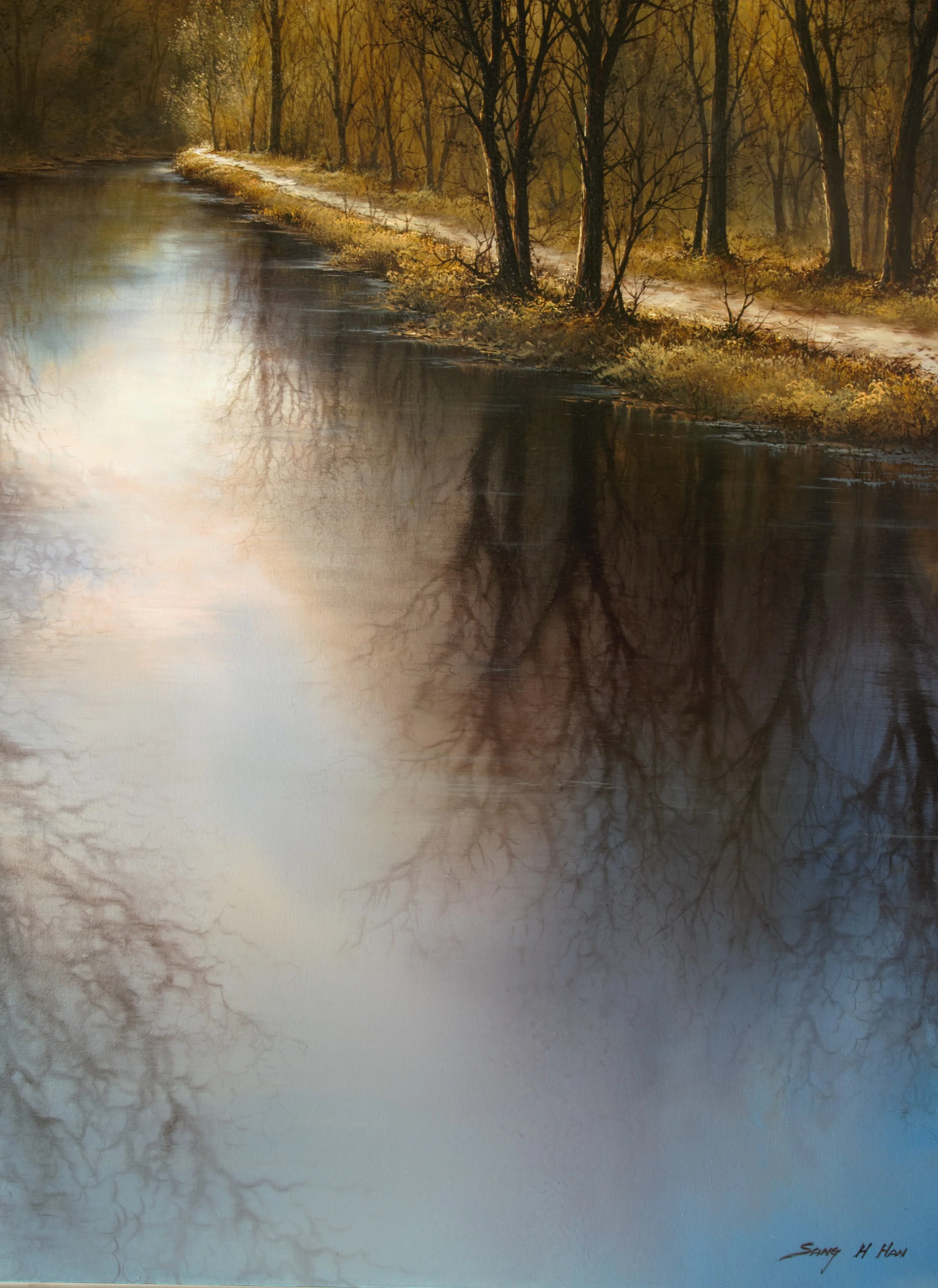 Reflections IV