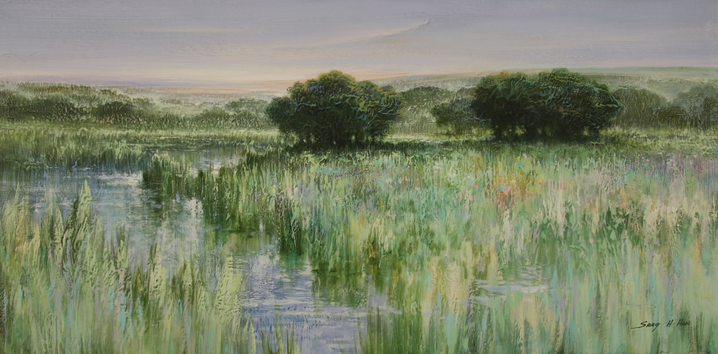 Shady Fields II