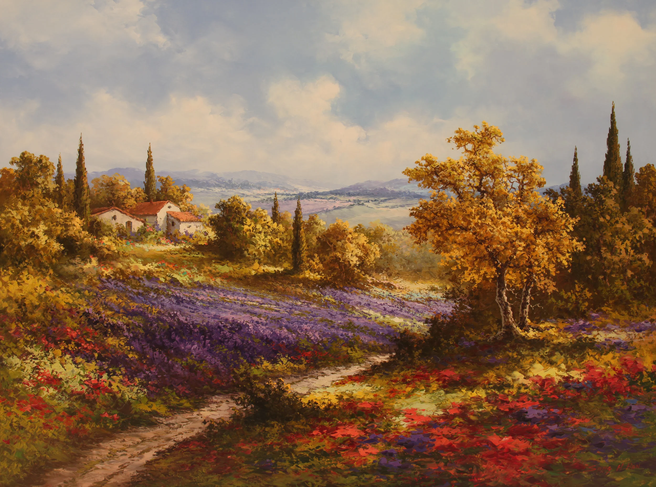 Tuscany Fields V