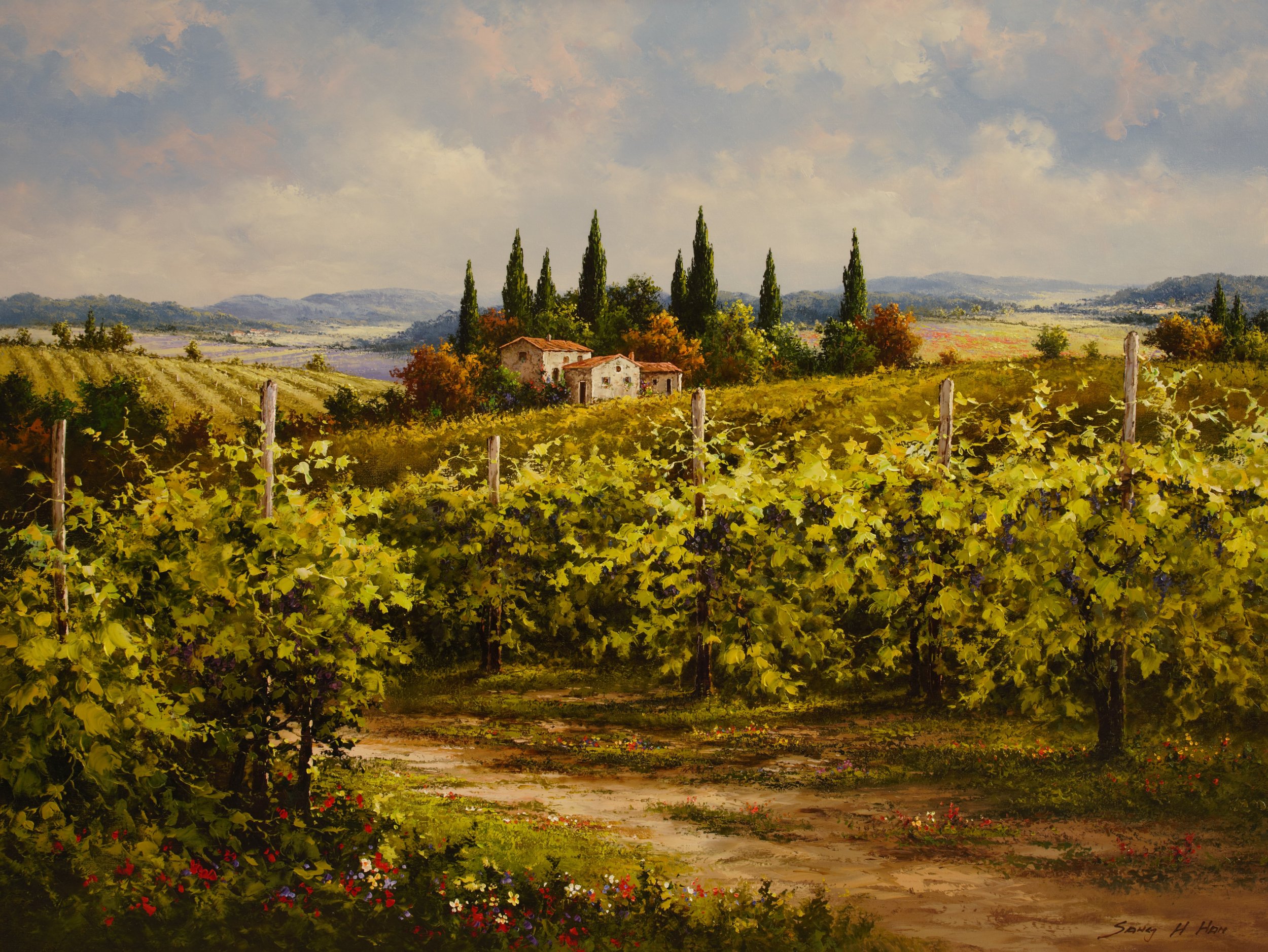 Tuscany Fields VIII
