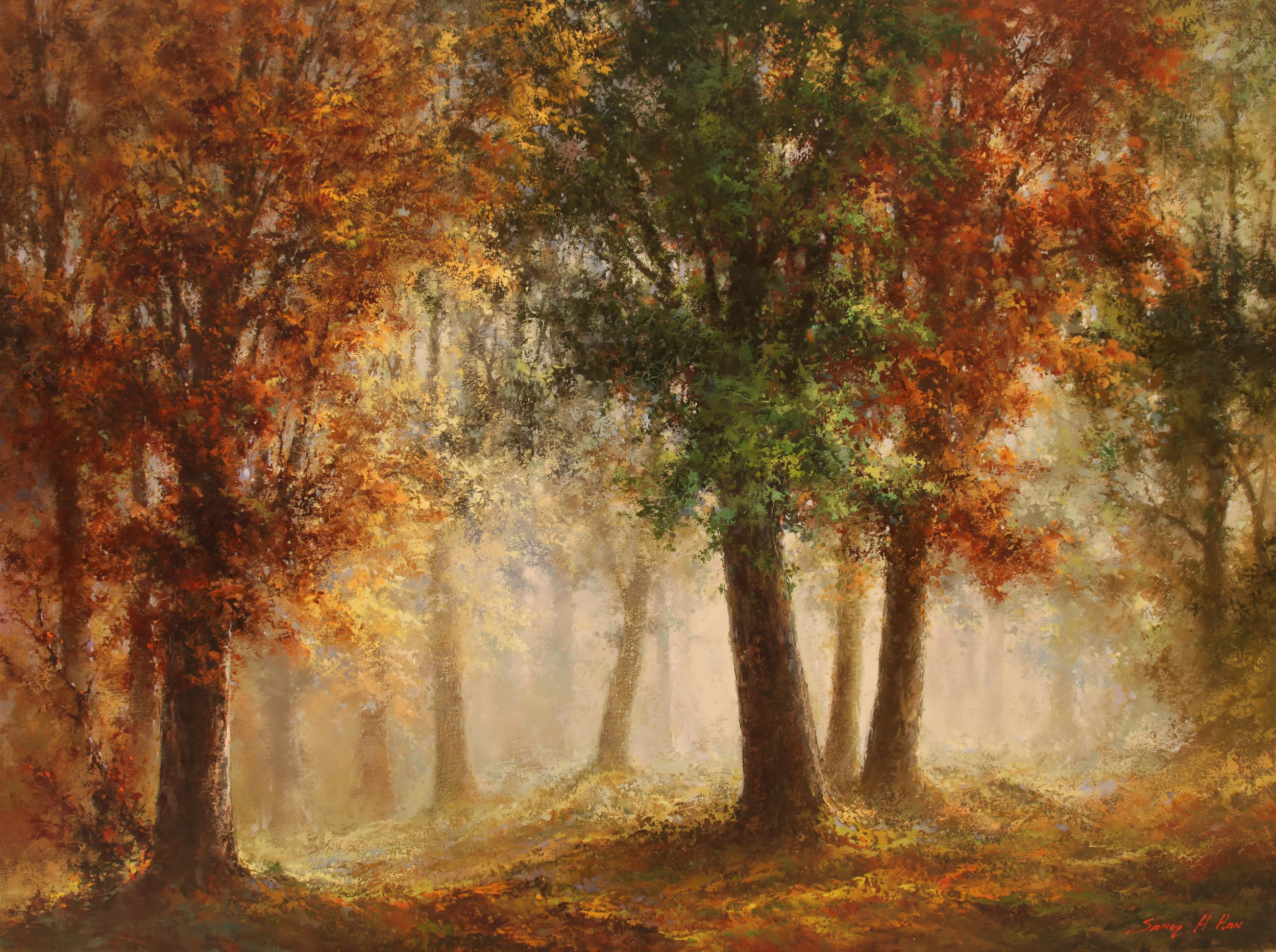 Wonder Forest IV