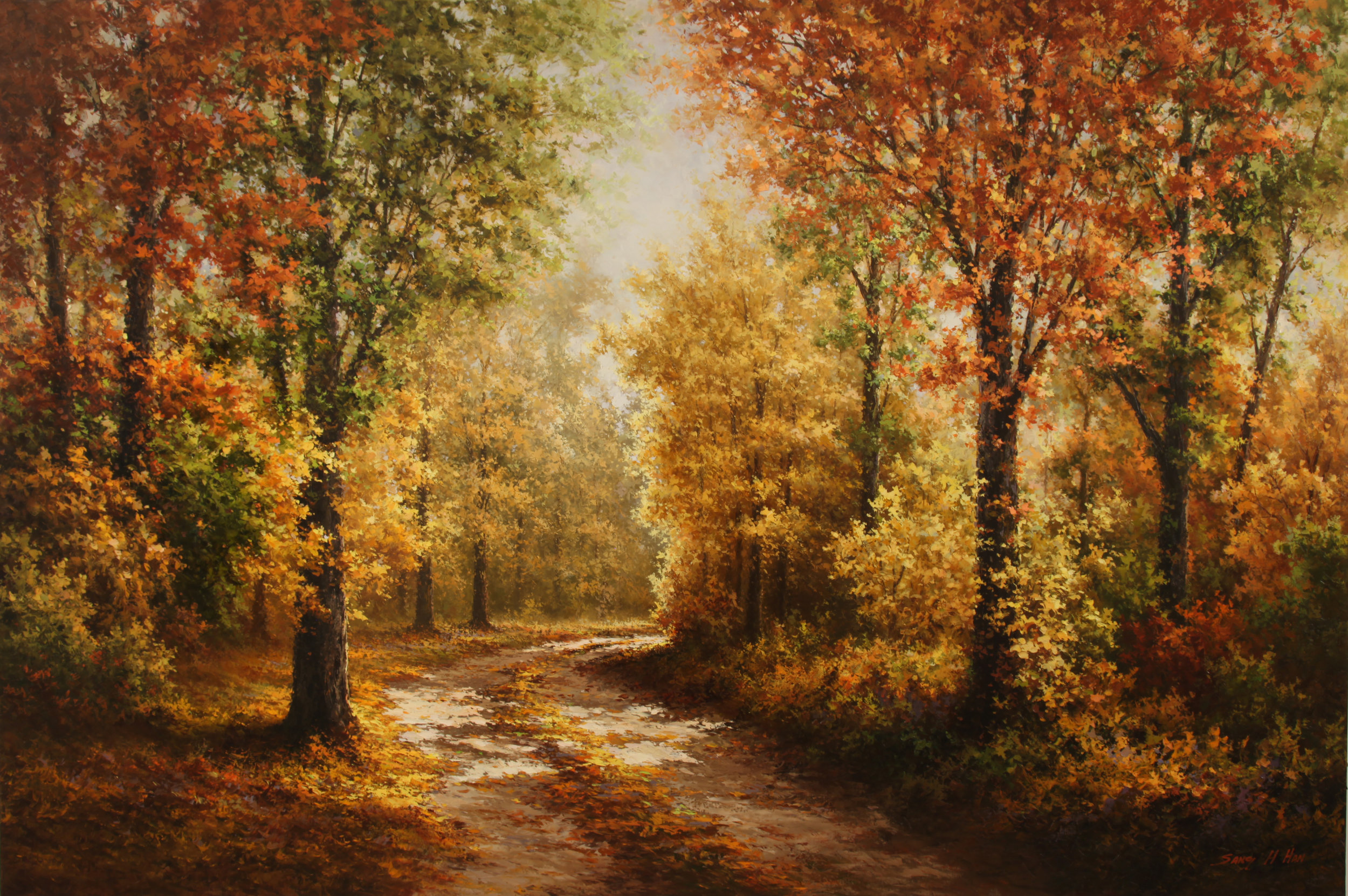 Autumn Forest Road.jpg