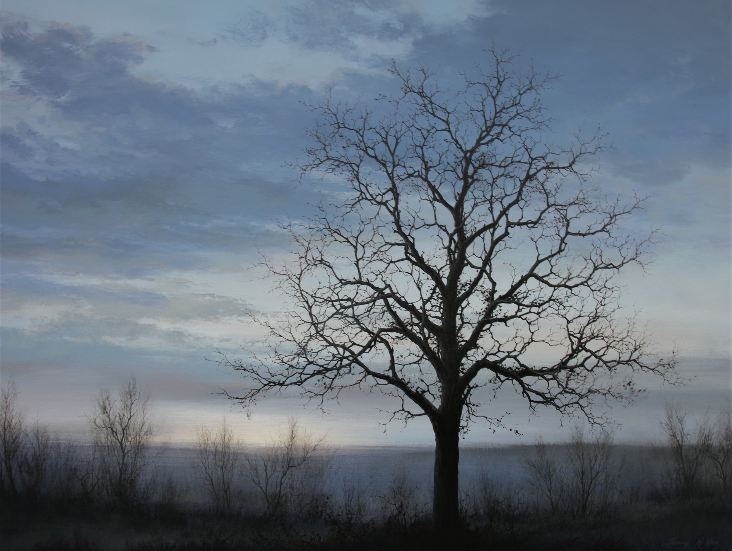 The Lone Oak.JPG