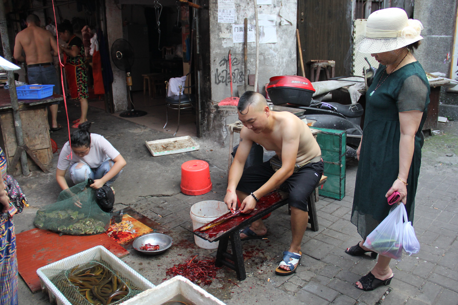 Sorry for gross bloody photo, but can we just appreciate how this eel man has eel hair?