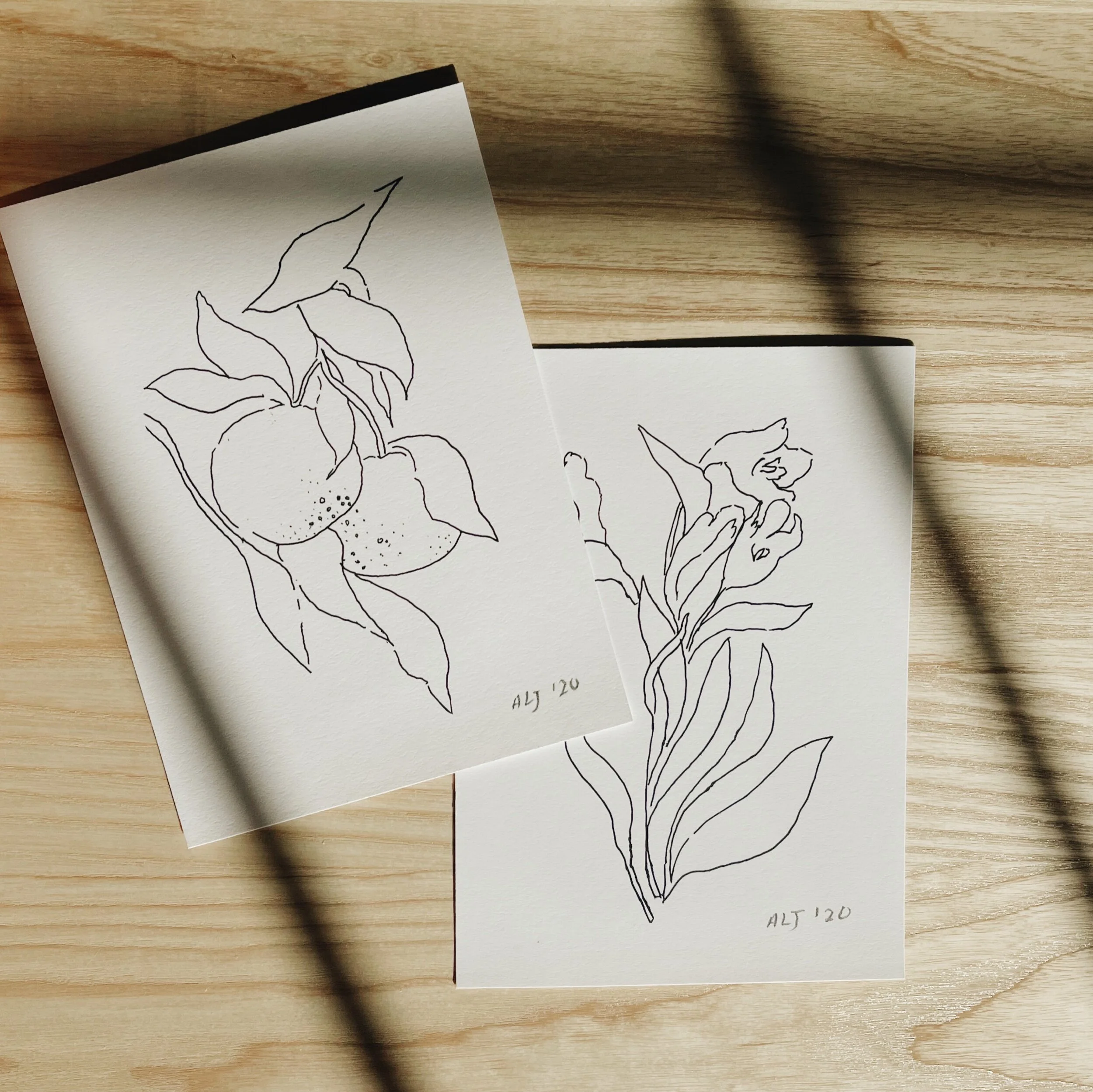 932D924D-E322-46E4-9BF3-4748D2F4D646