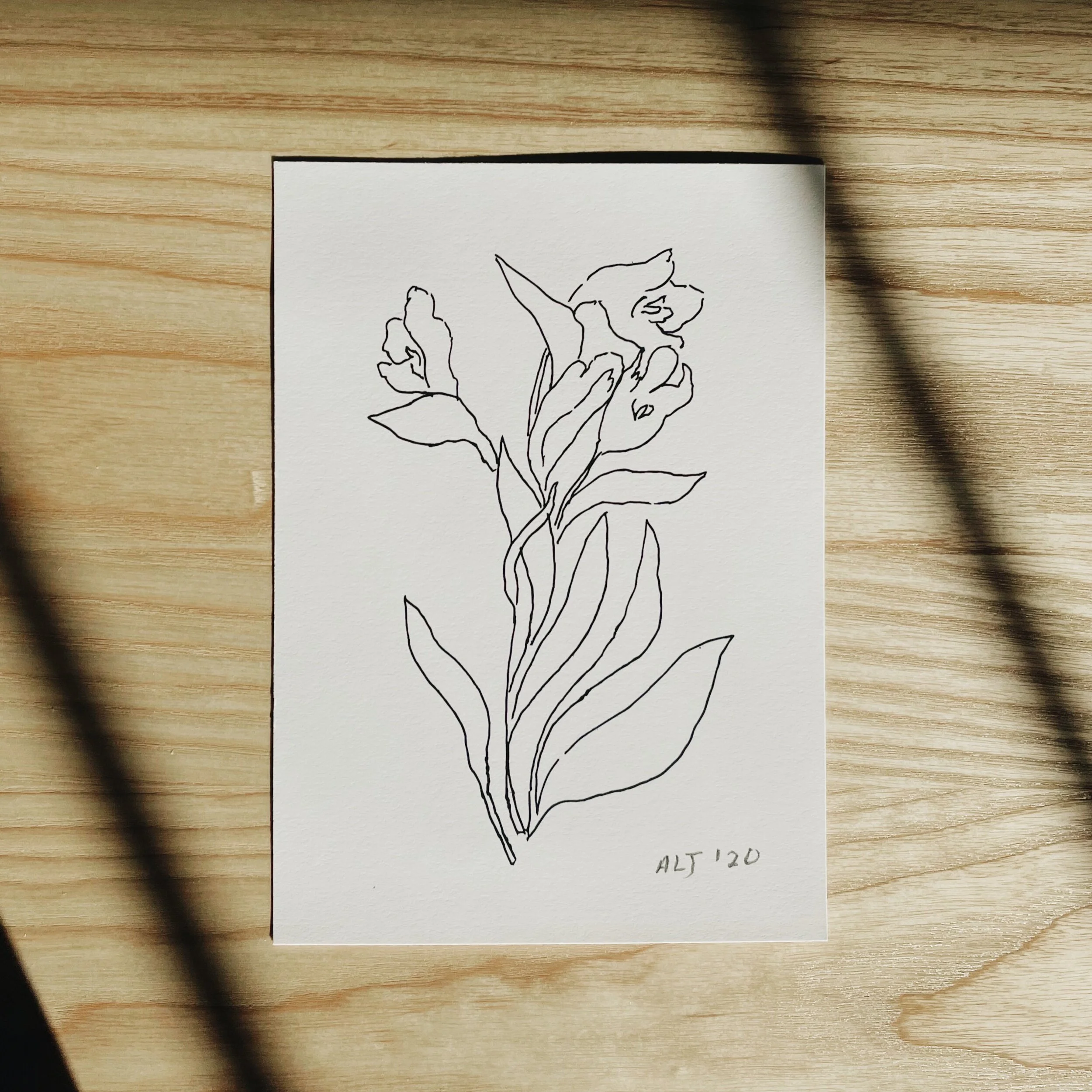 floral line art print, minneapolis small business, anna lisabeth, anna Elizabeth, constellations,