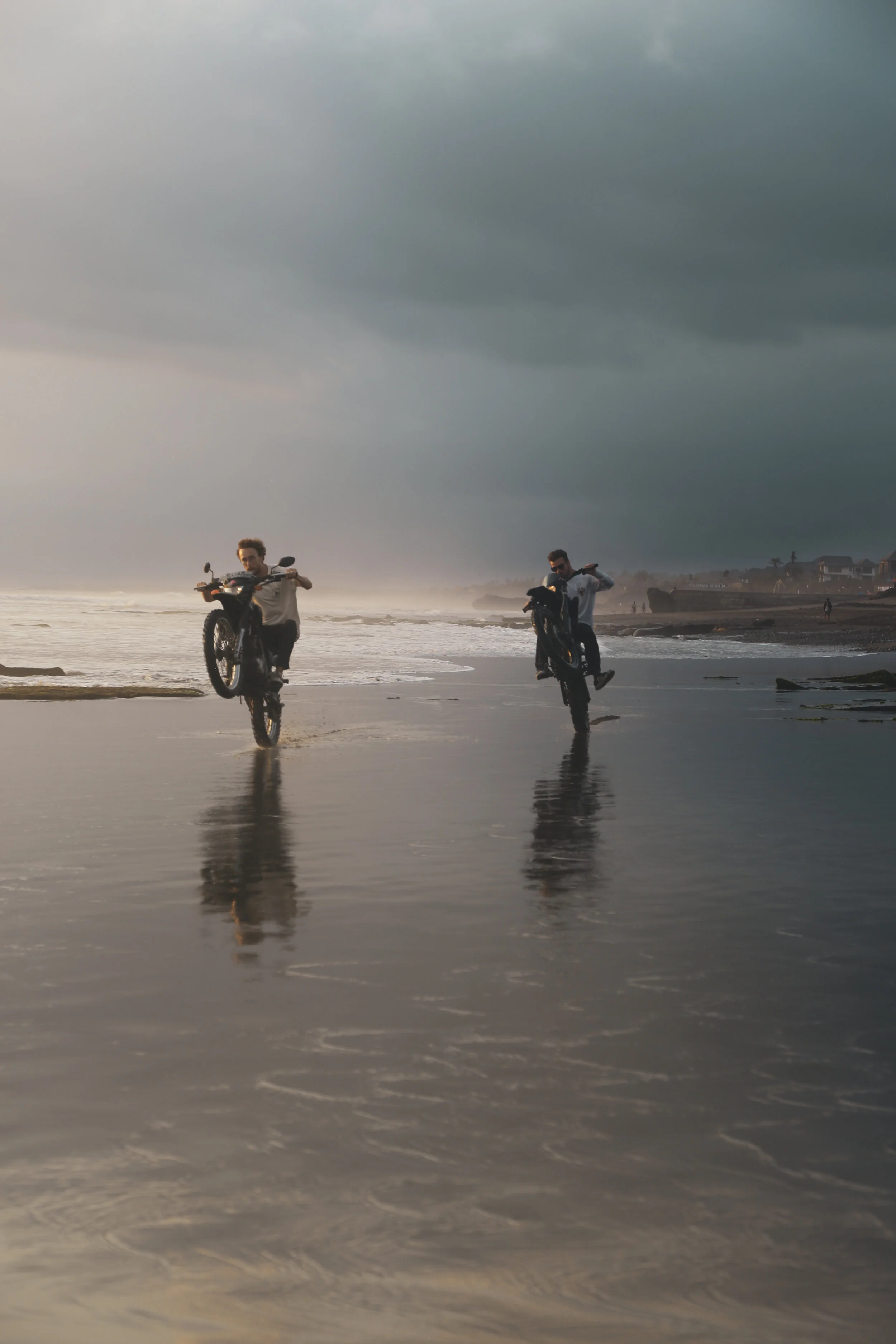 palms57 (11 of 1).jpg