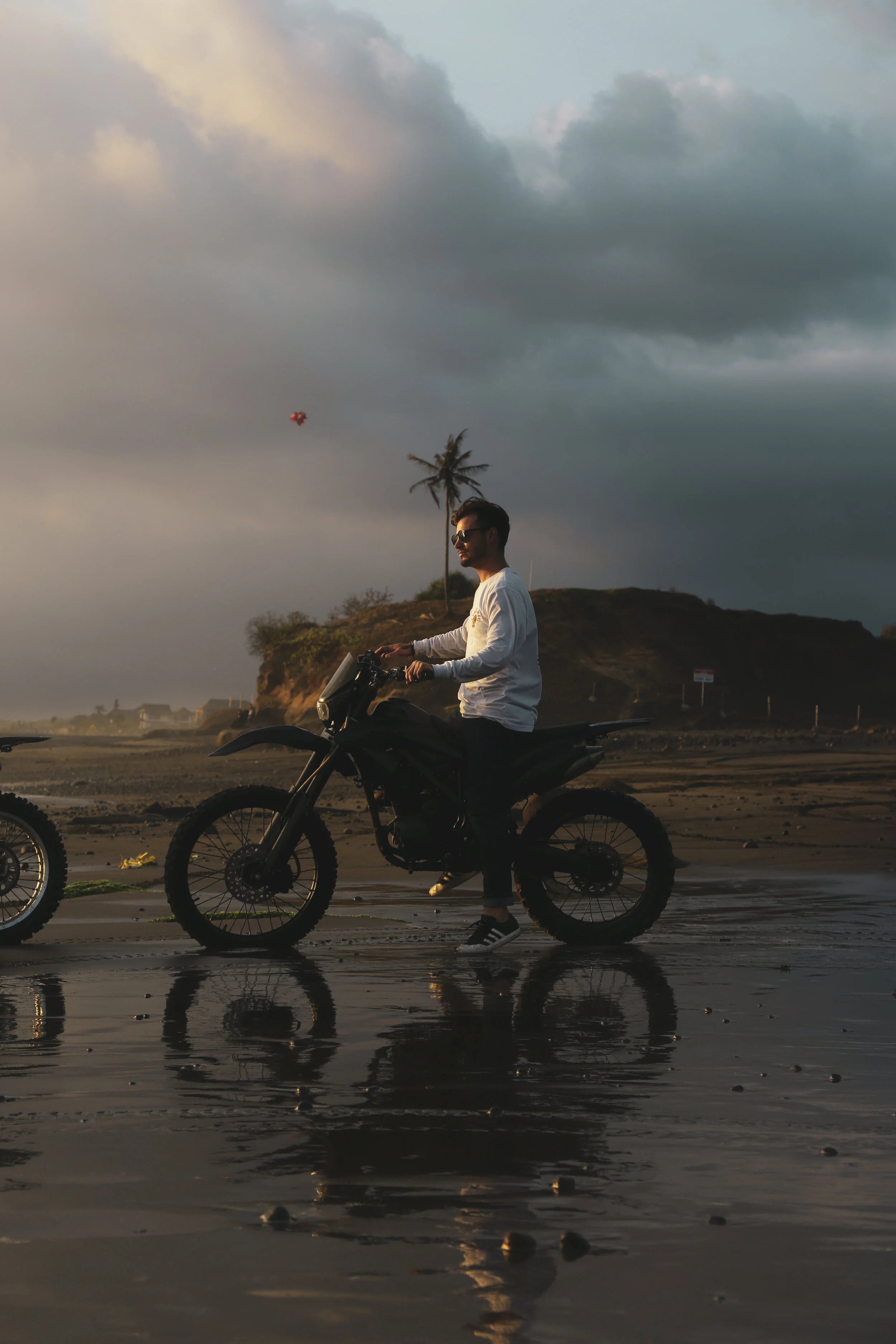 palms39 (11 of 1).jpg