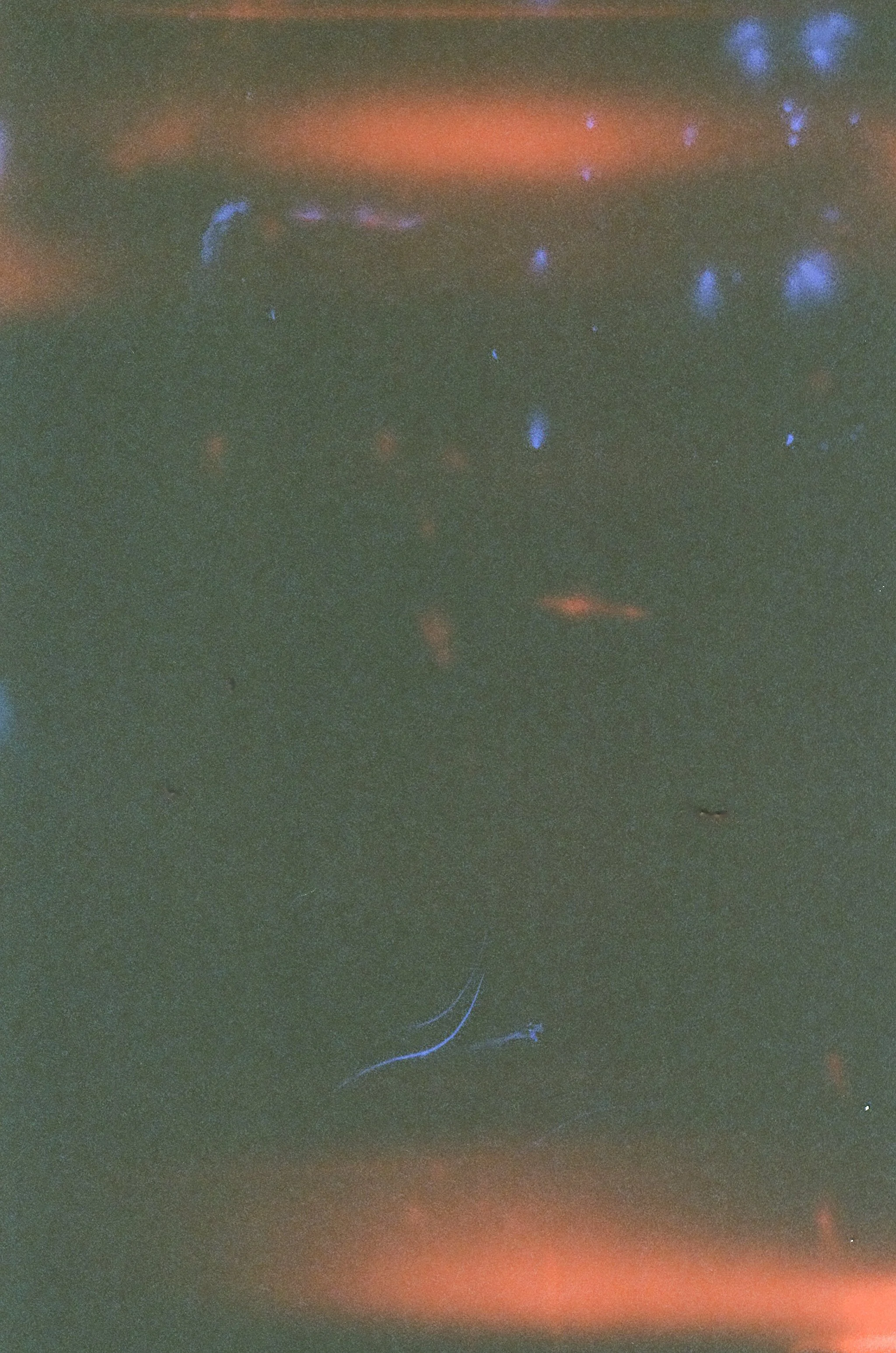 000064960038.jpg