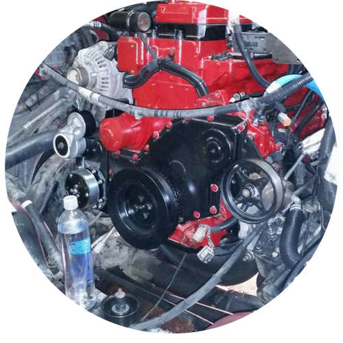 MTR Transmission & Auto Gas & Diesel Repair & Performance Shop