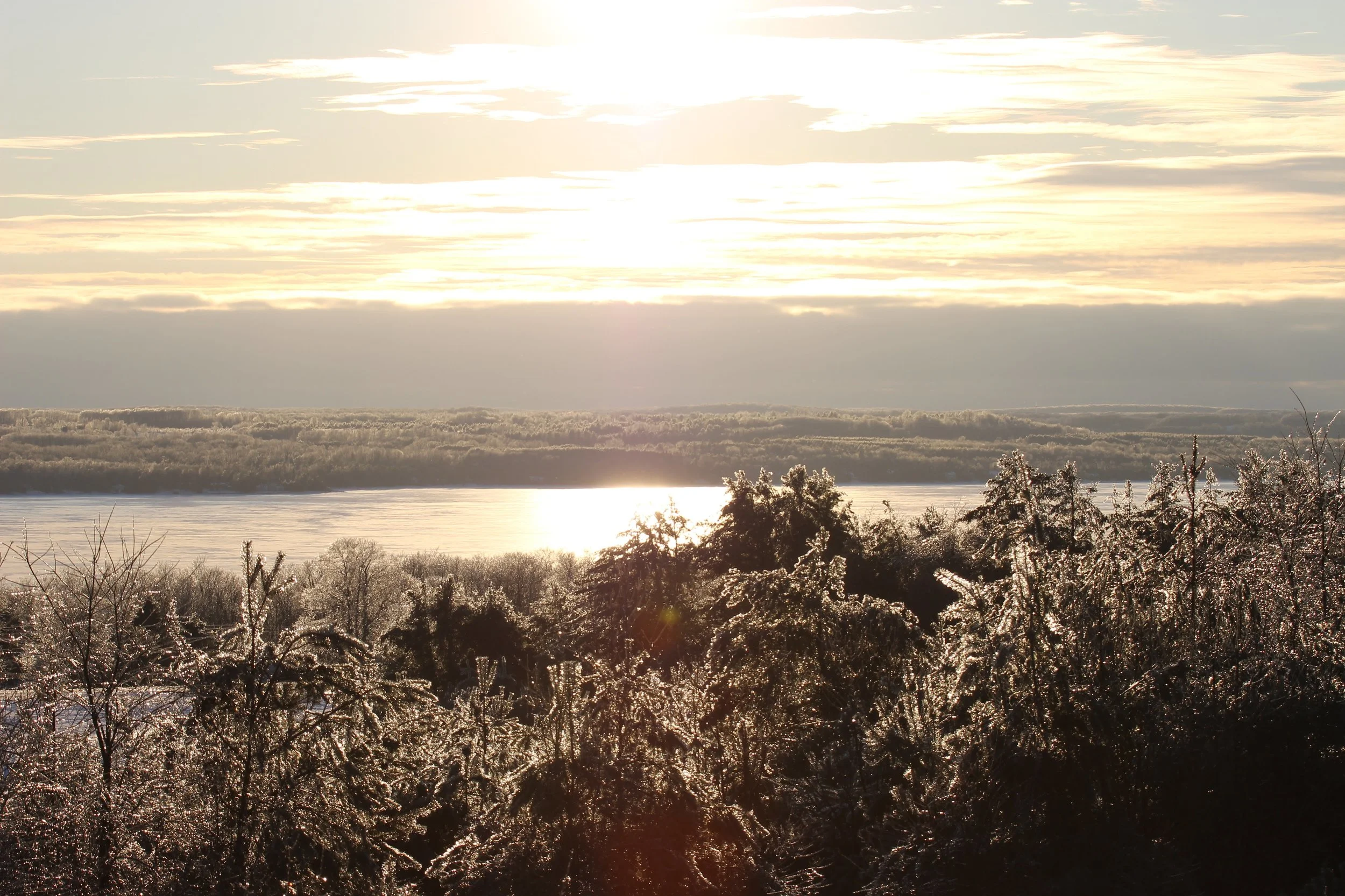 Shimmering Lakeview