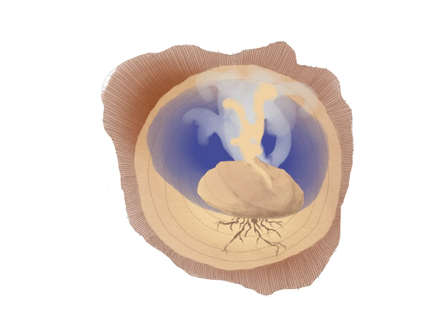 benjamin+shared+a+sketch+with+you+5.jpg