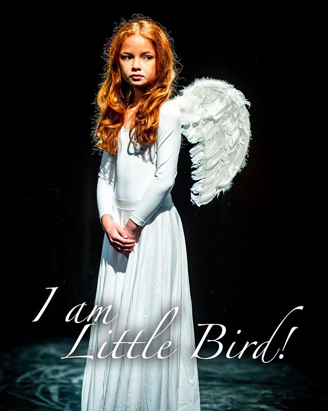 &ldquo;Yes.  They are new souls.  Just fledglings.  Still getting their wings before they make their way up.&rdquo; The Little Bird is special. She holds a strange and ethereal power. A quiet and persistent persuasian. What is her role to play in thi