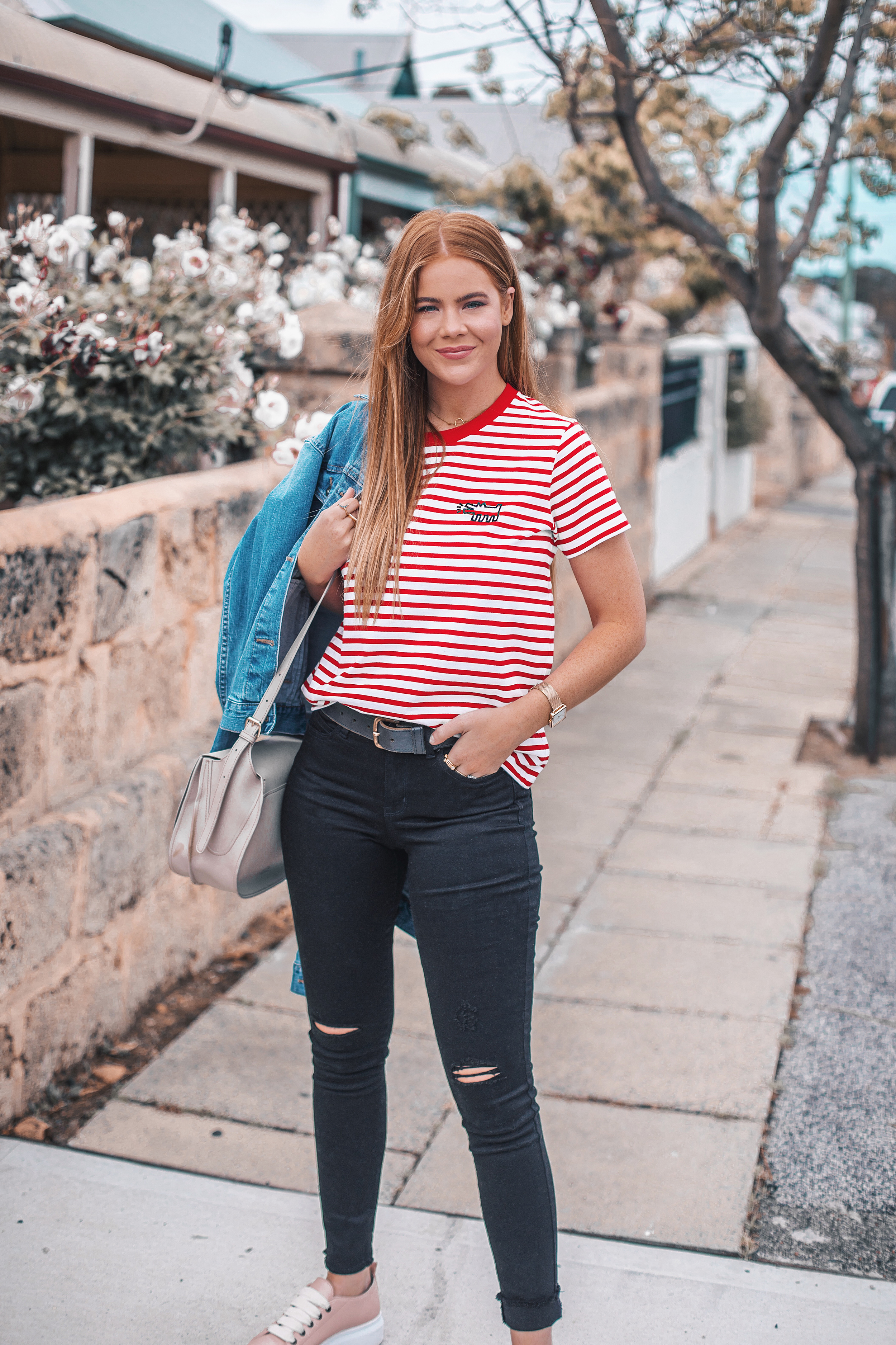 Keeping Comfy in Tees and Jeans — Lion in the Wild