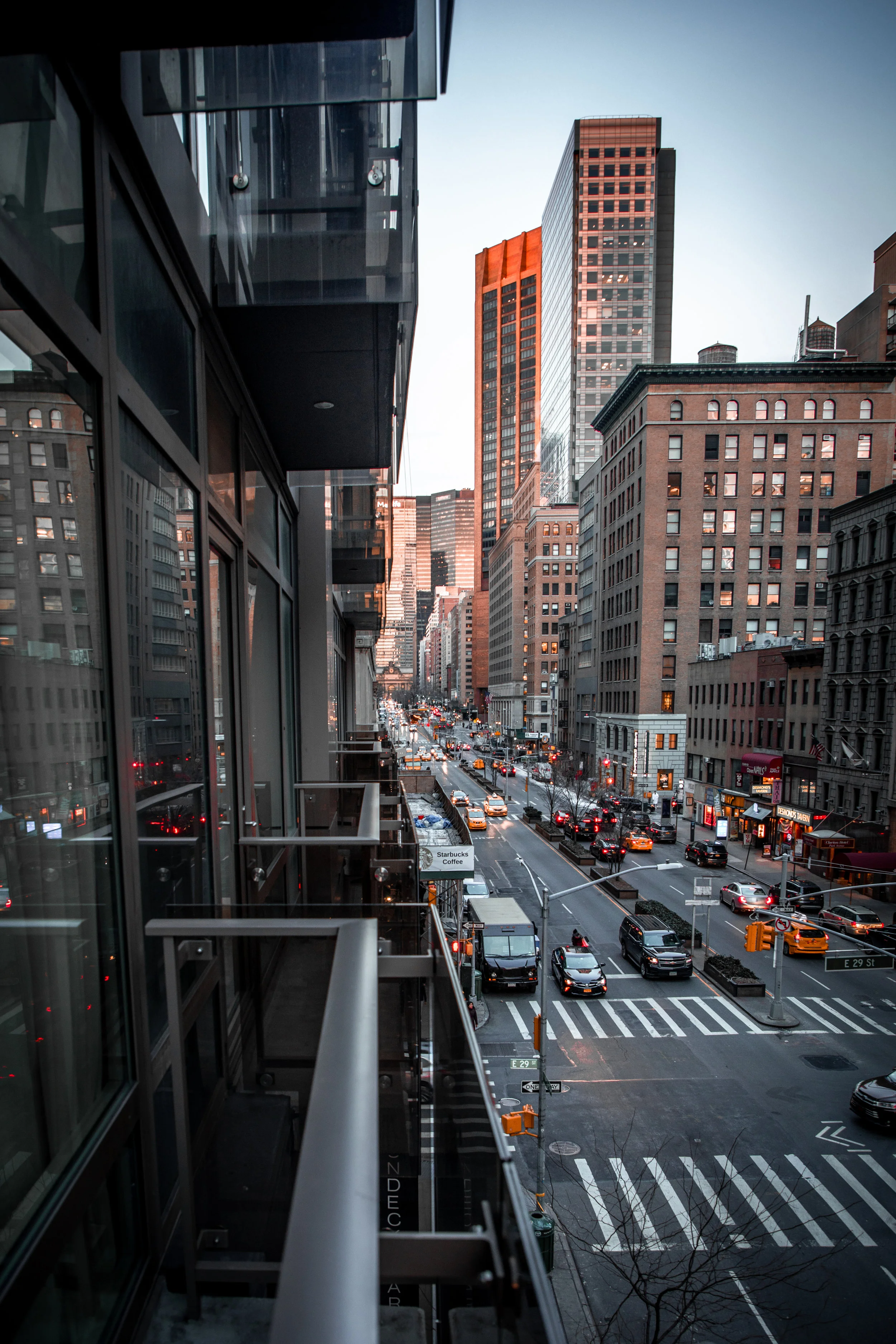 lion-in-the-wild_royalton-park-avenue-new-york_2.jpg