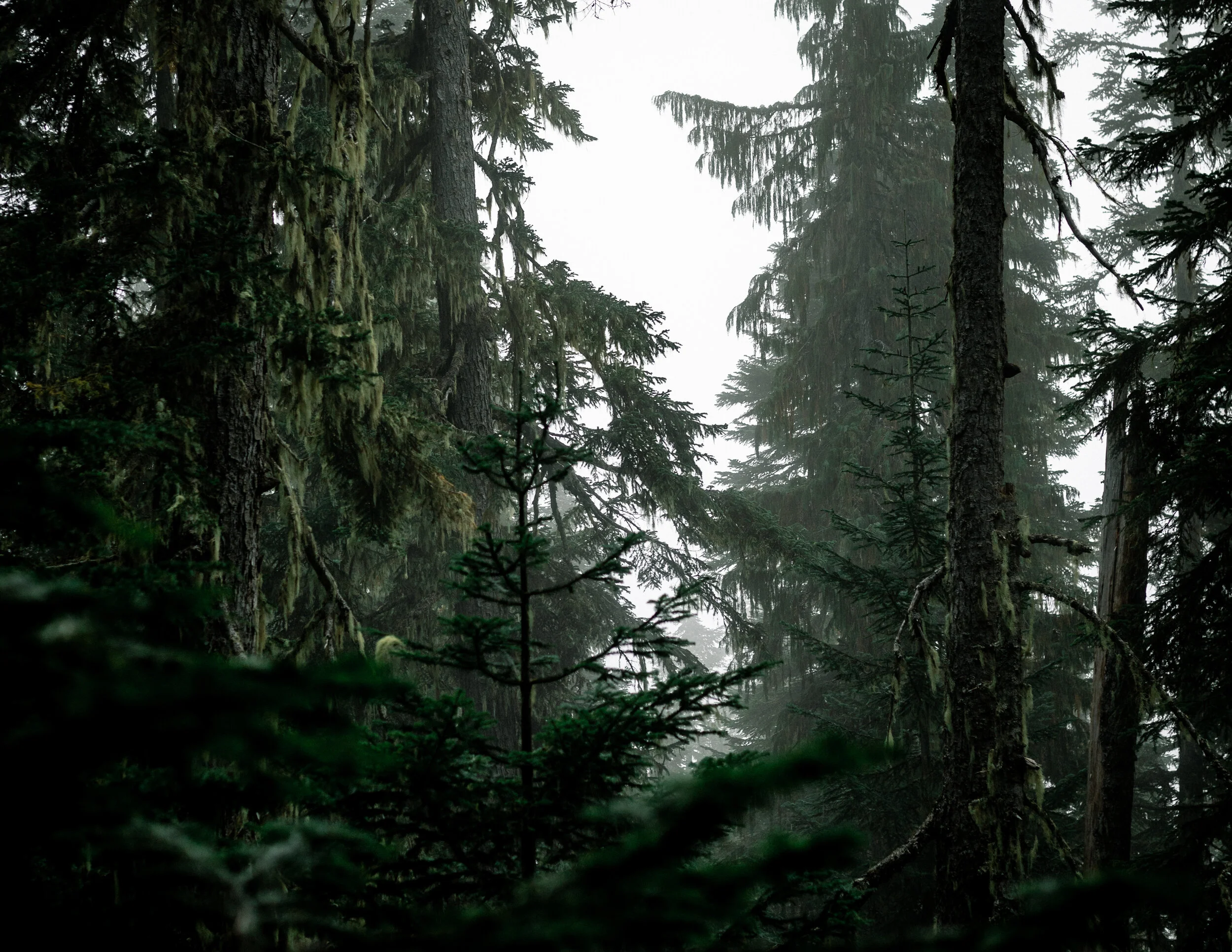 20201103_CalendarSocialpost_01.jpg