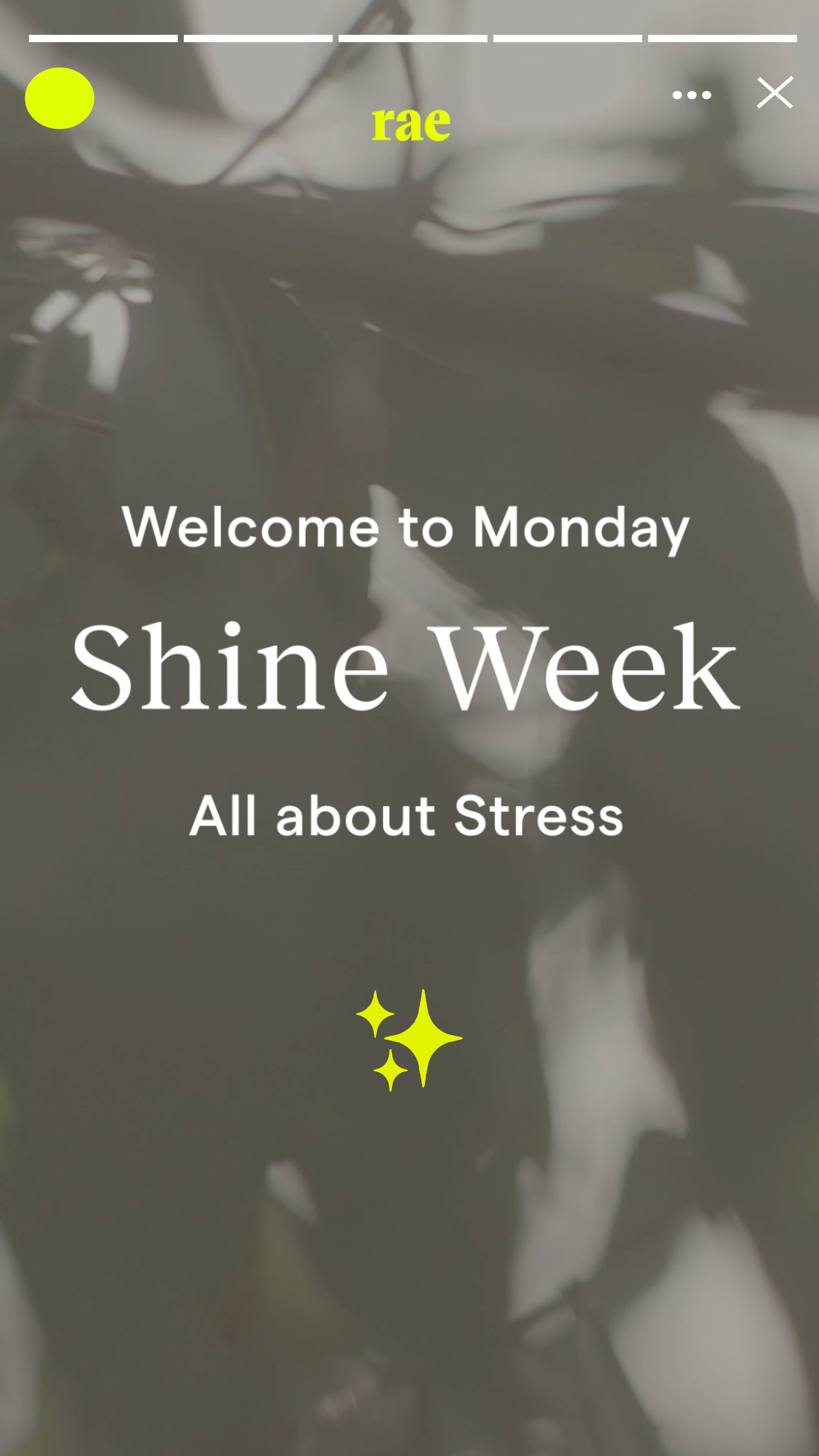 Shine Week_Stories_Stress_01.jpg