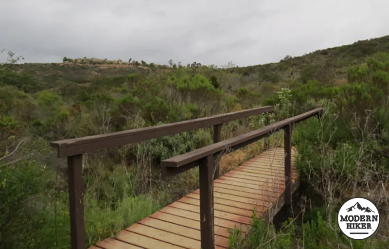 Gonzales-Canyon-by-modernhiker.jpg