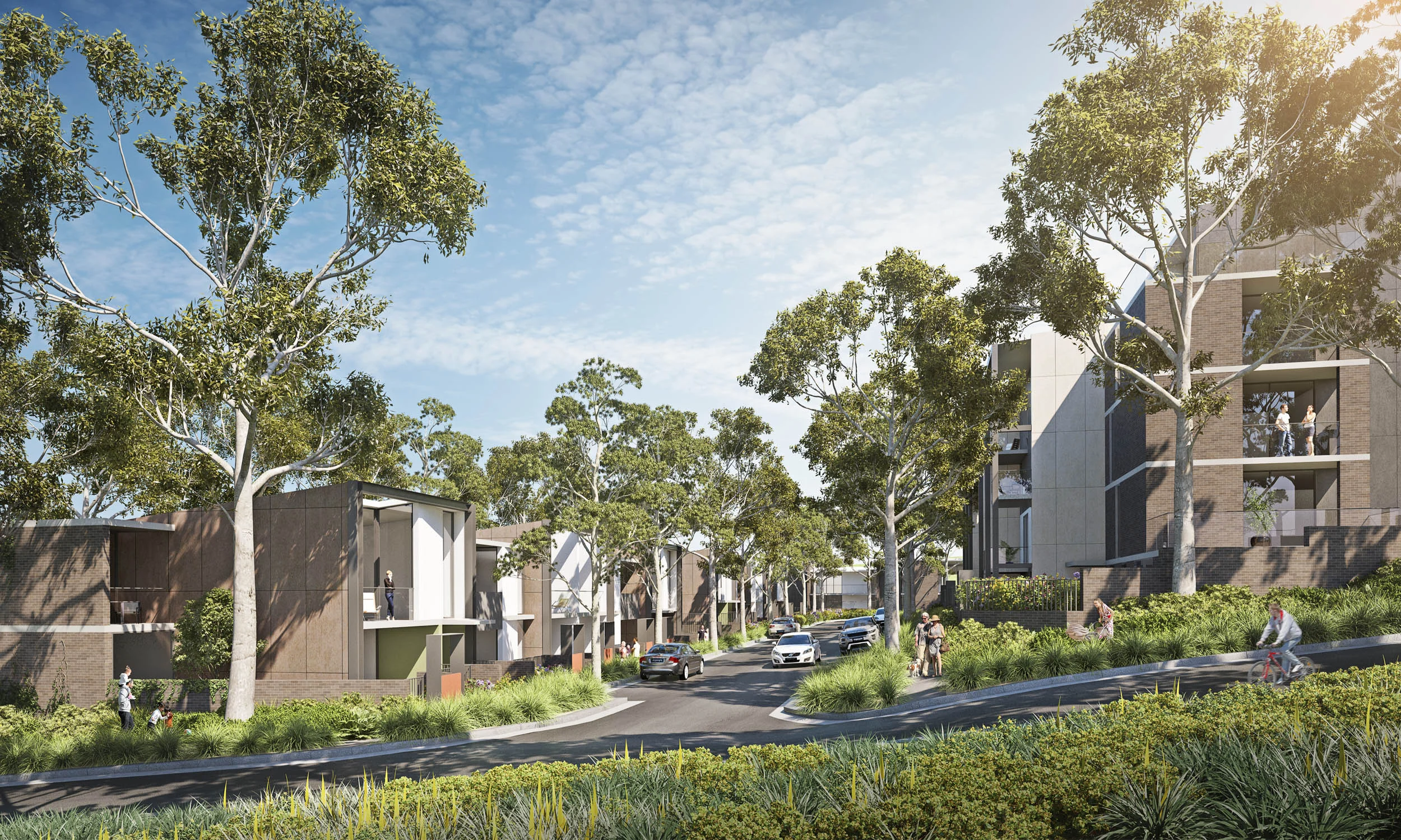 Gallery_Carlingford Site Study 01.jpg
