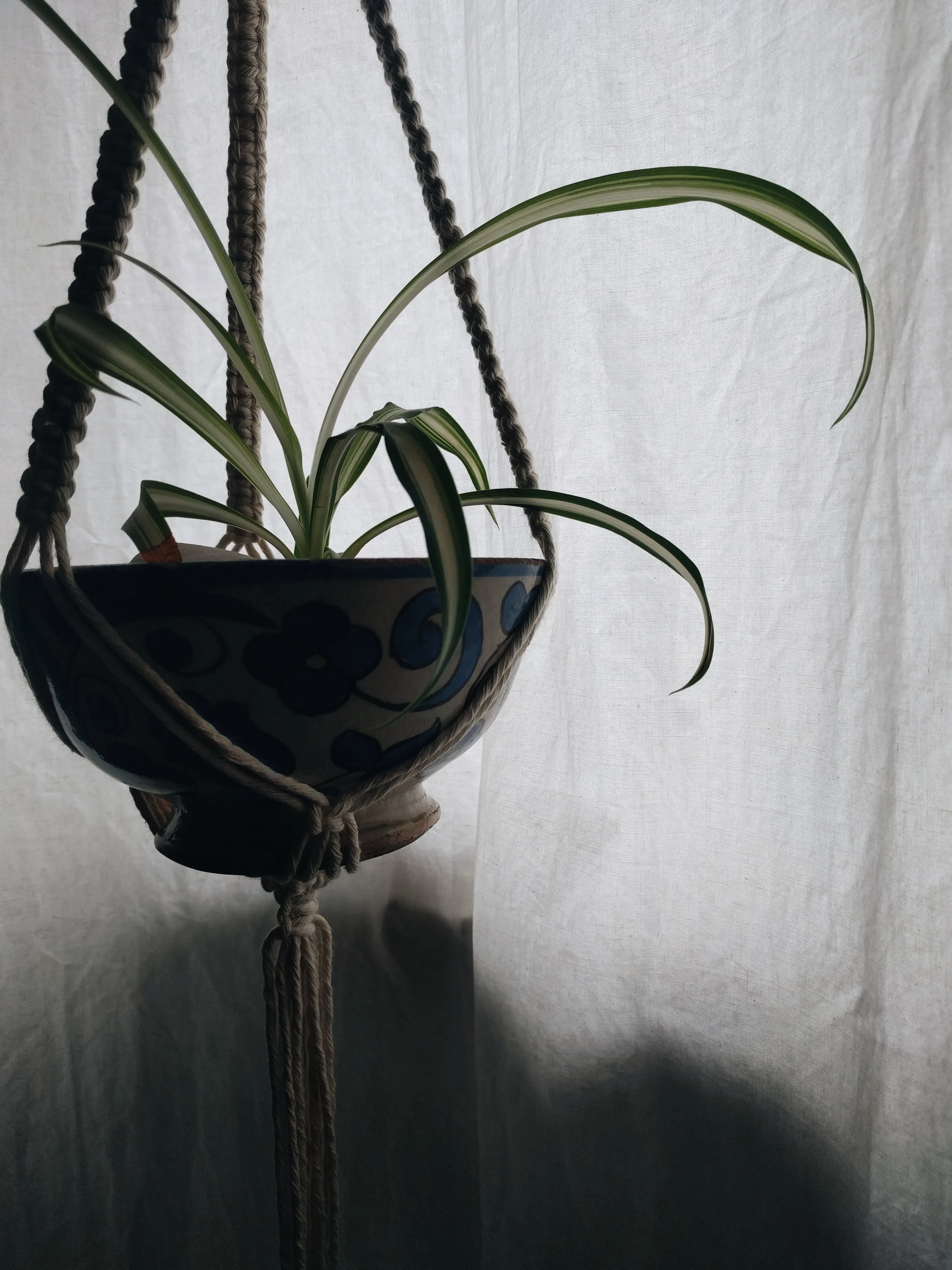 2018-04-29 12.36.43 1.jpg