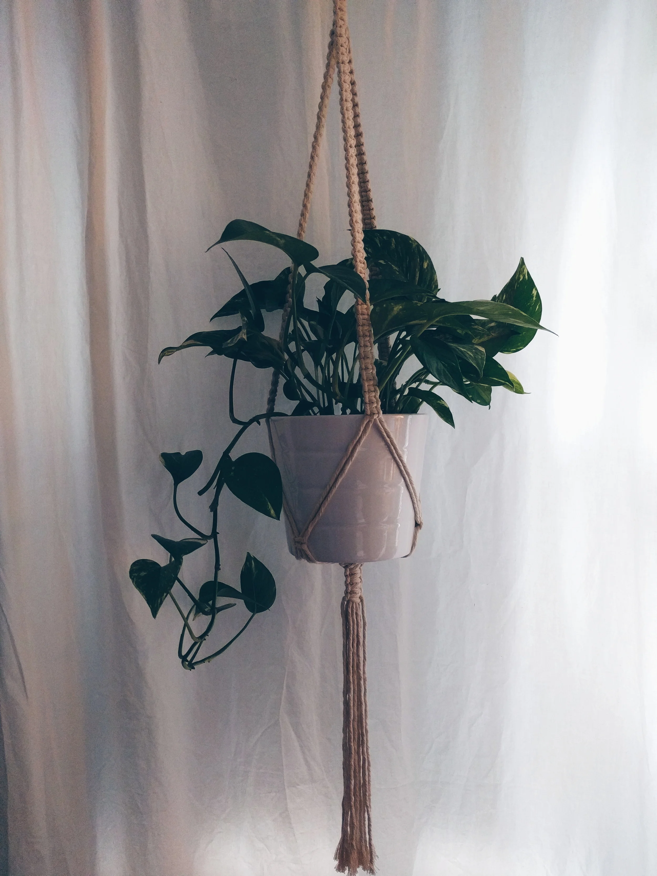 classic single plant hanger.jpg