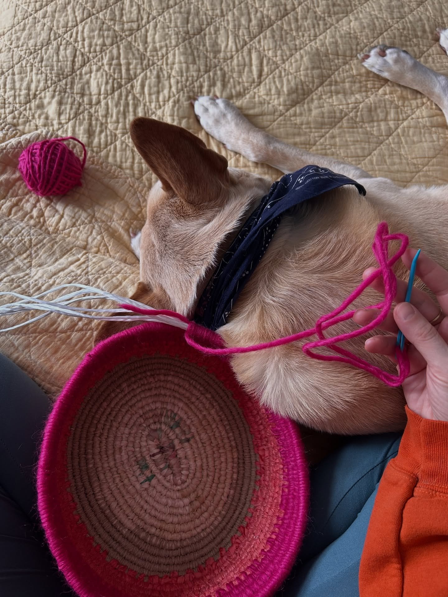 🌀🌀🌀 Transmissions from the studio in the last week (and some from bed when I was too sick to go in) &mdash;

When I don&rsquo;t know what else to do, I return to the beginning and I feel all the ways I have grown and changed. For me, that looks li