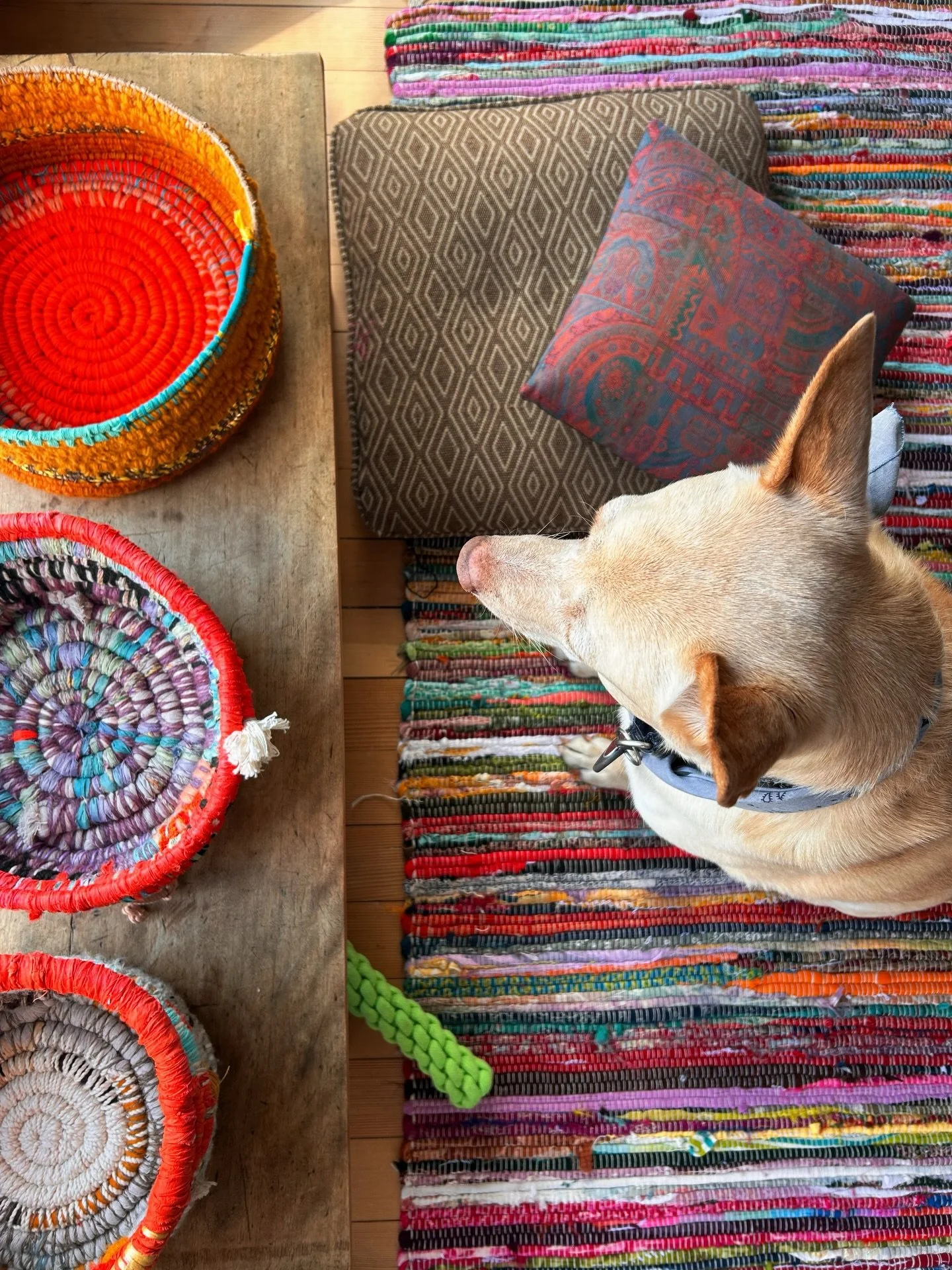 I set up my studio as a classroom, and as cheeseball as it may sound, it feels like a dream come true.

(A 20 year old dream) &bull; when I was 17, I declared my major as Education. Without hesitation, I wanted to be a teacher. Maybe art, maybe engli