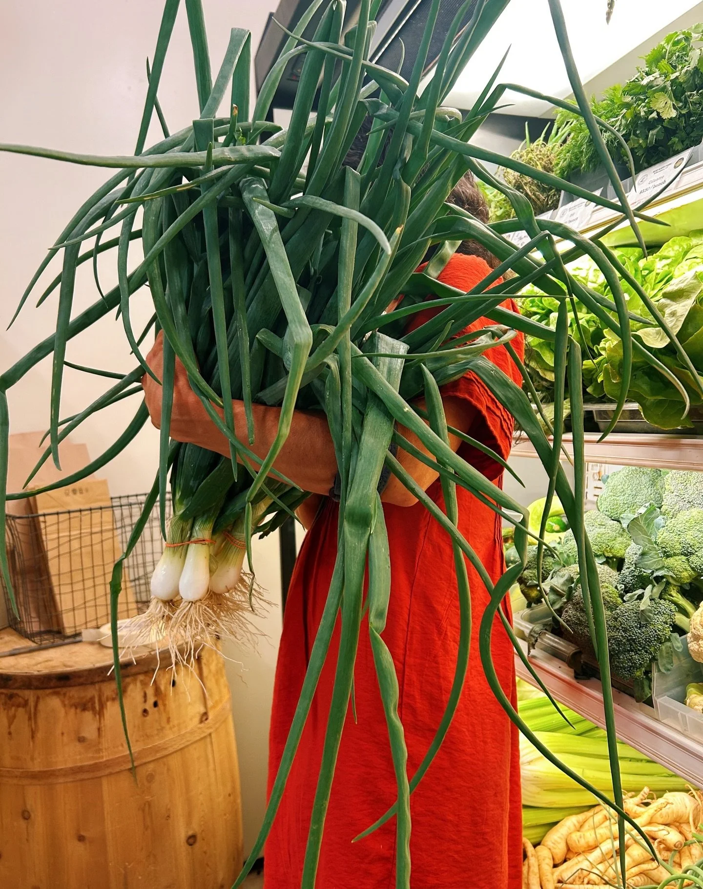 I&rsquo;ve been thinking about the materials we barely notice&hellip;

Many of you know I work at a produce market, and even in a relatively low-waste system, there&rsquo;s still this quiet stream of materials moving through: PLU stickers on fruit, o