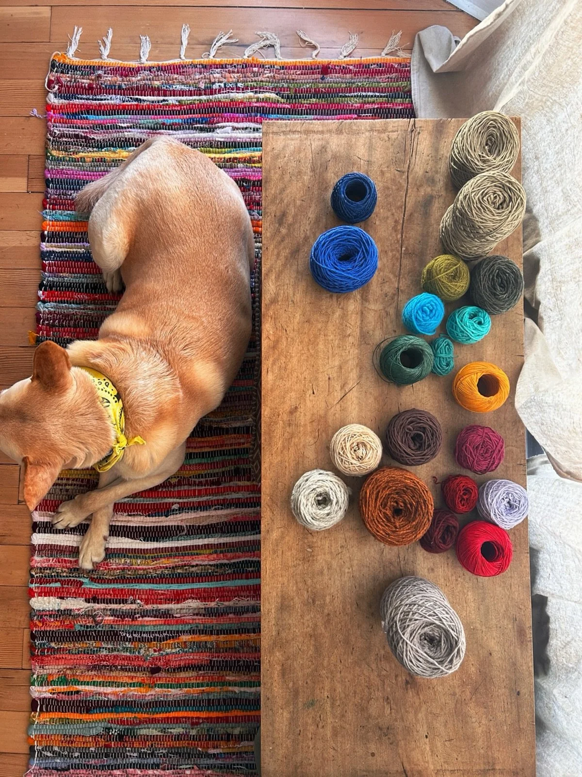 A spot opened up in my basket class in Montpelier on Tuesday, April 28, 6-8:30pm! 🌀

If interested, register thru the link in my bio 🖇️🔗🖇️🔗