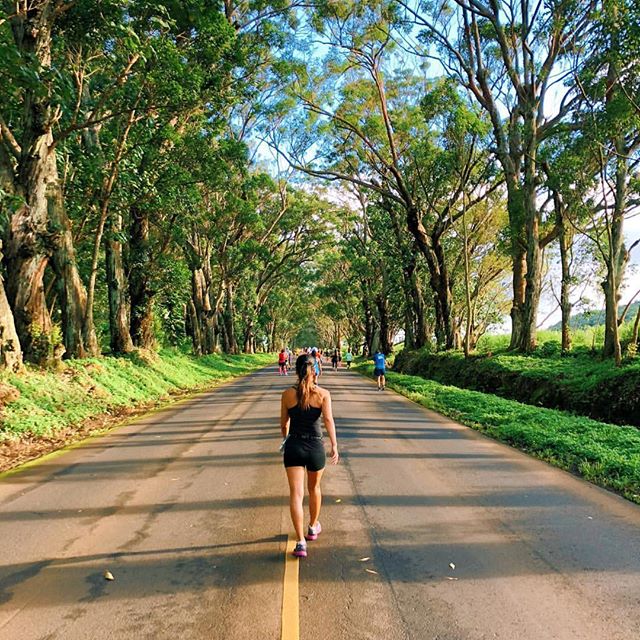 Besides the hula dancers, taiko drummers, and tons of community members coming out to cheer you on, you get to take in the full tree tunnel experience when you participate in the @thekauaimarathon. Amazing, right? @jengraces #poipu #kauai #aloha #kau