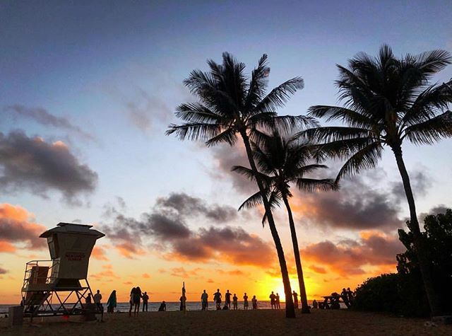 Grab a friend or meet a new one. #poipu #kauai #sunsetsofpoipu #aloha #hawaii @tj_pocock
