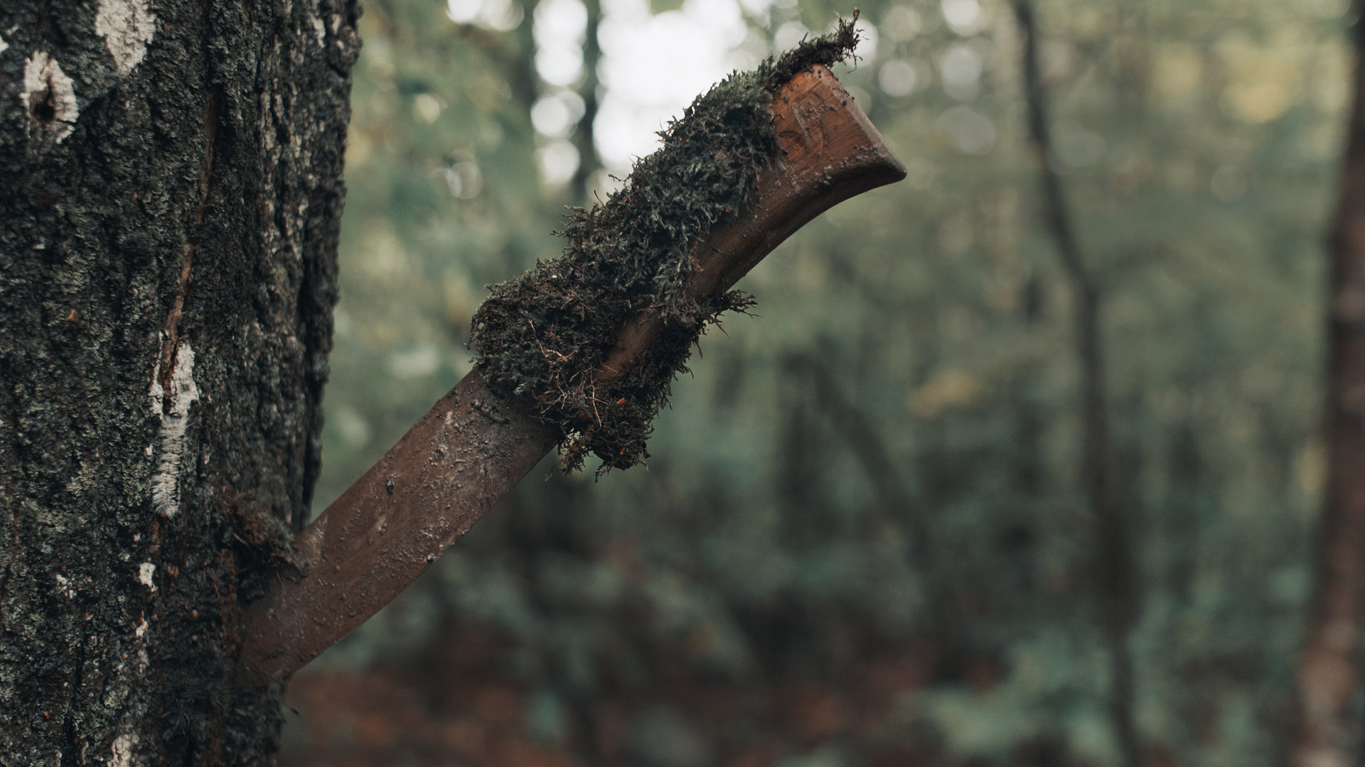 Knifey.jpg