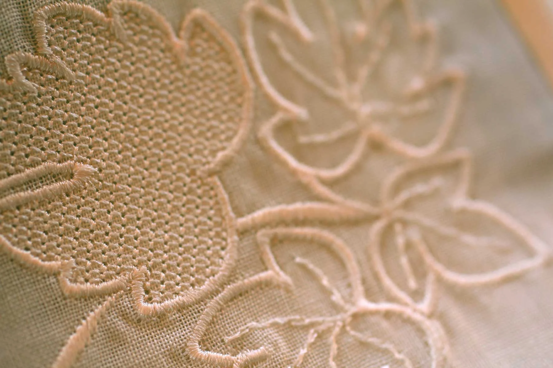 170_IVORY_04.jpg
