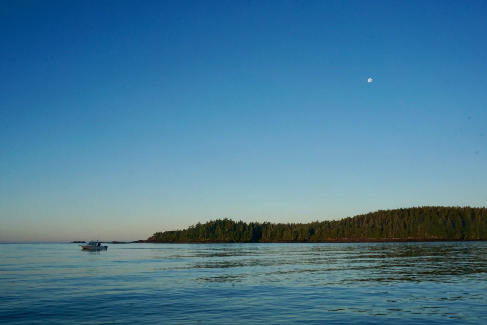 Early morning on the water with Tofino 1st Class Fishing.