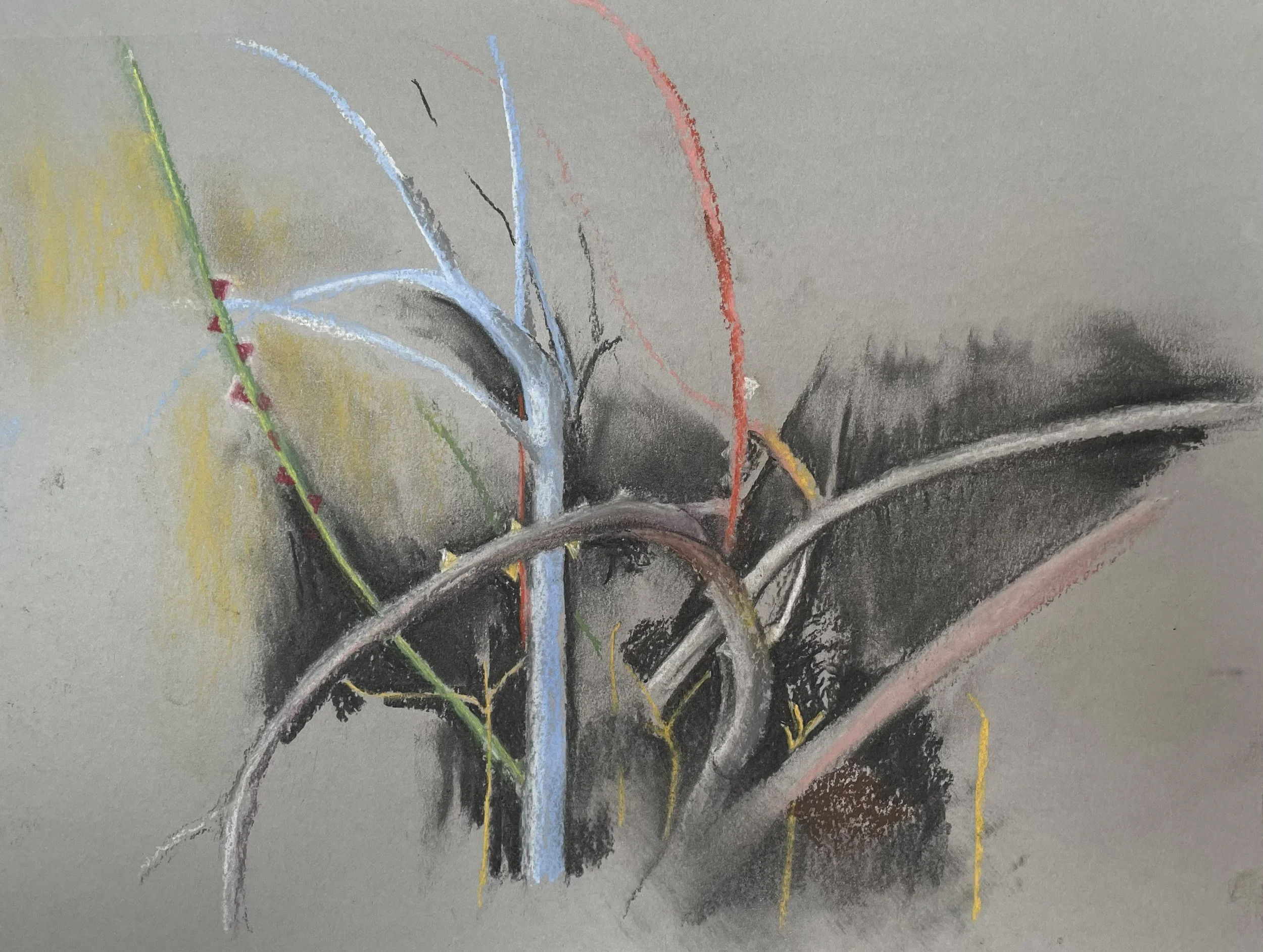 White brier pastel.jpg