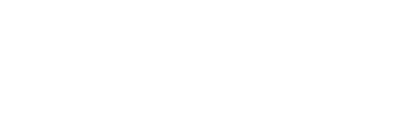 OPT LOGO2.png