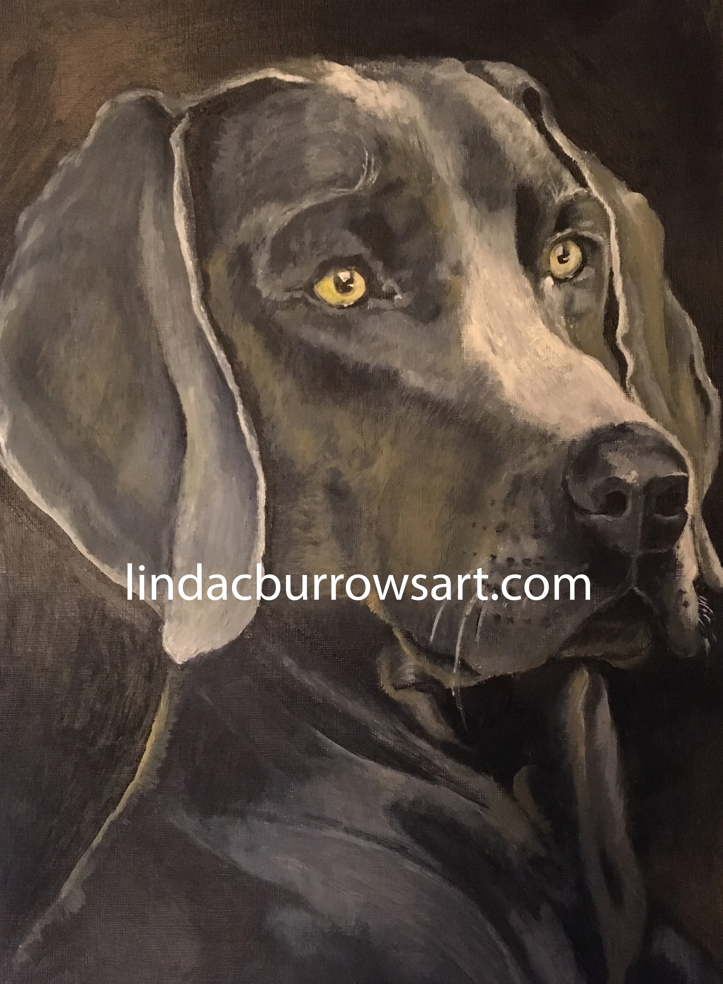 'Hector' 2017