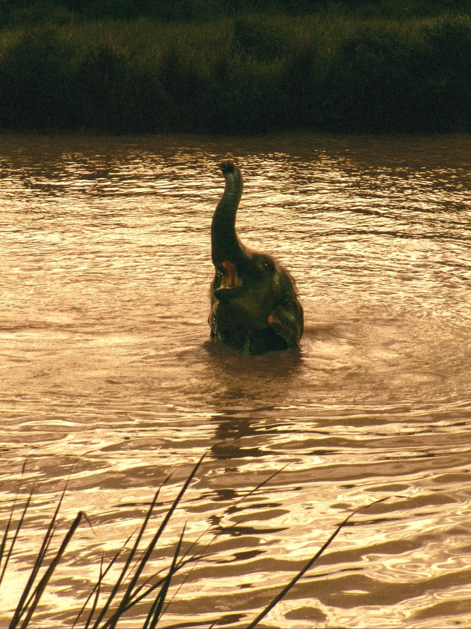 100_0117.JPG