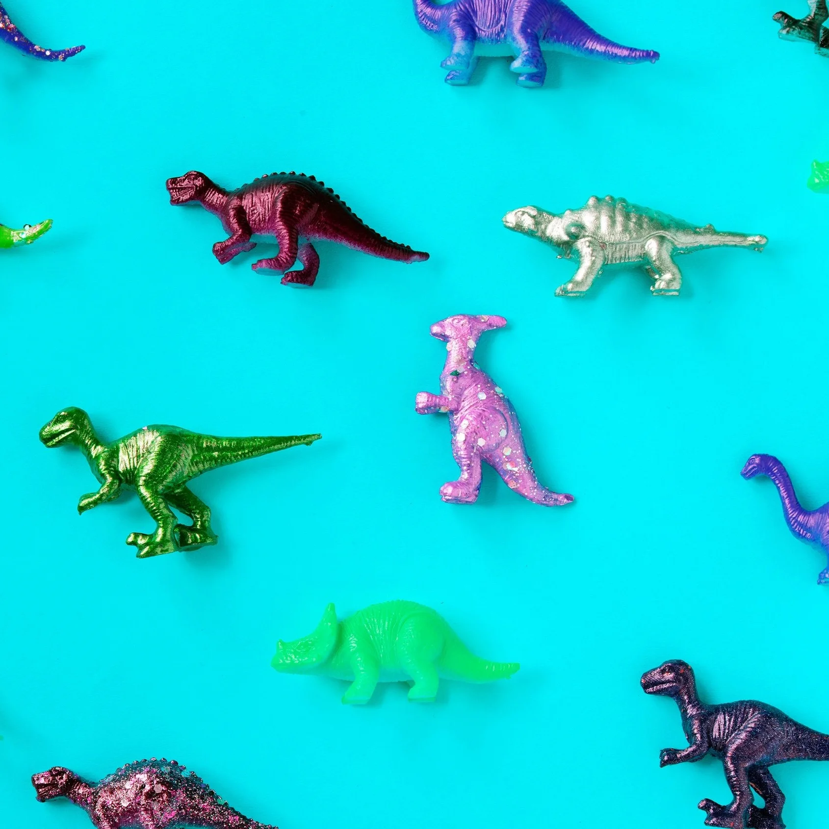 animals-assorted-close-up-1638417.jpg